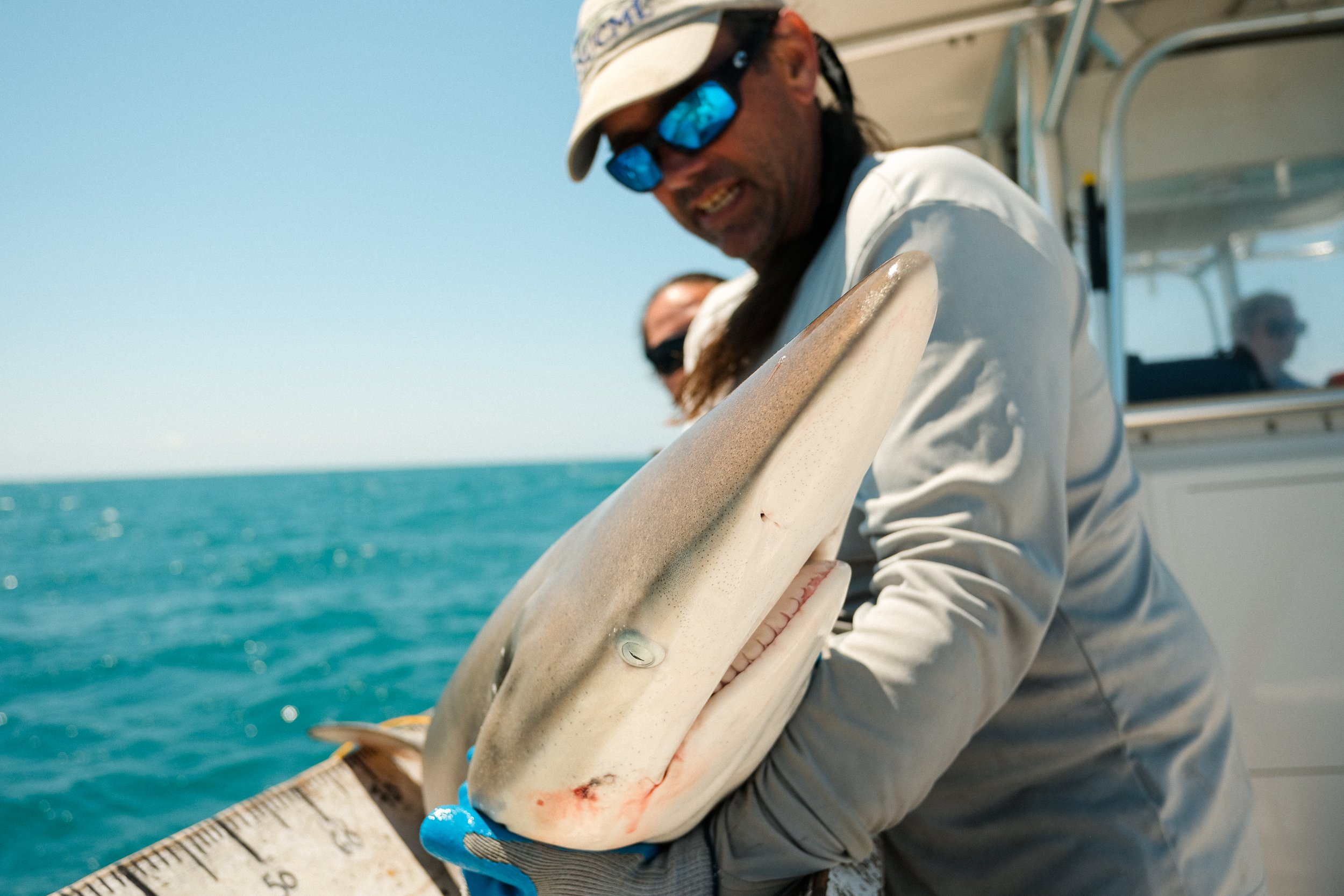 Shark_Research_Day_10380.jpg