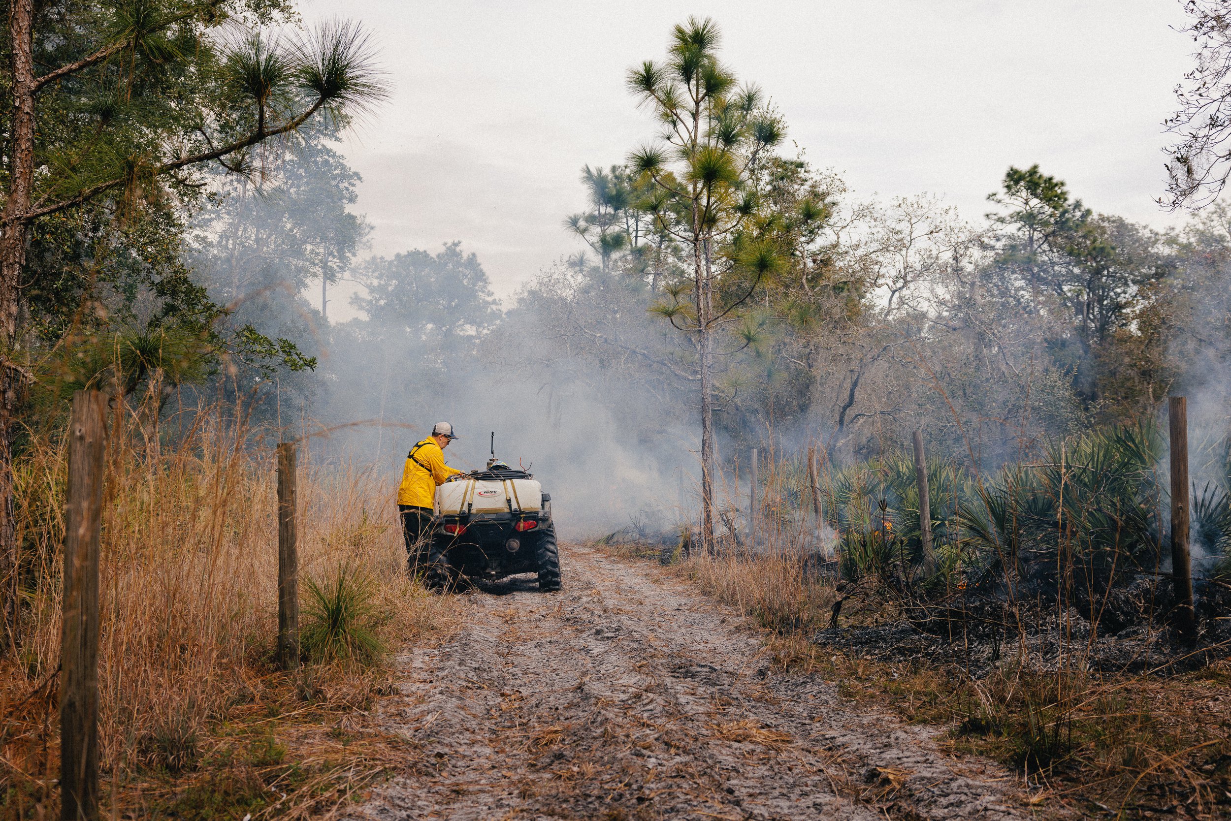 Controlled_Burn0023.jpg