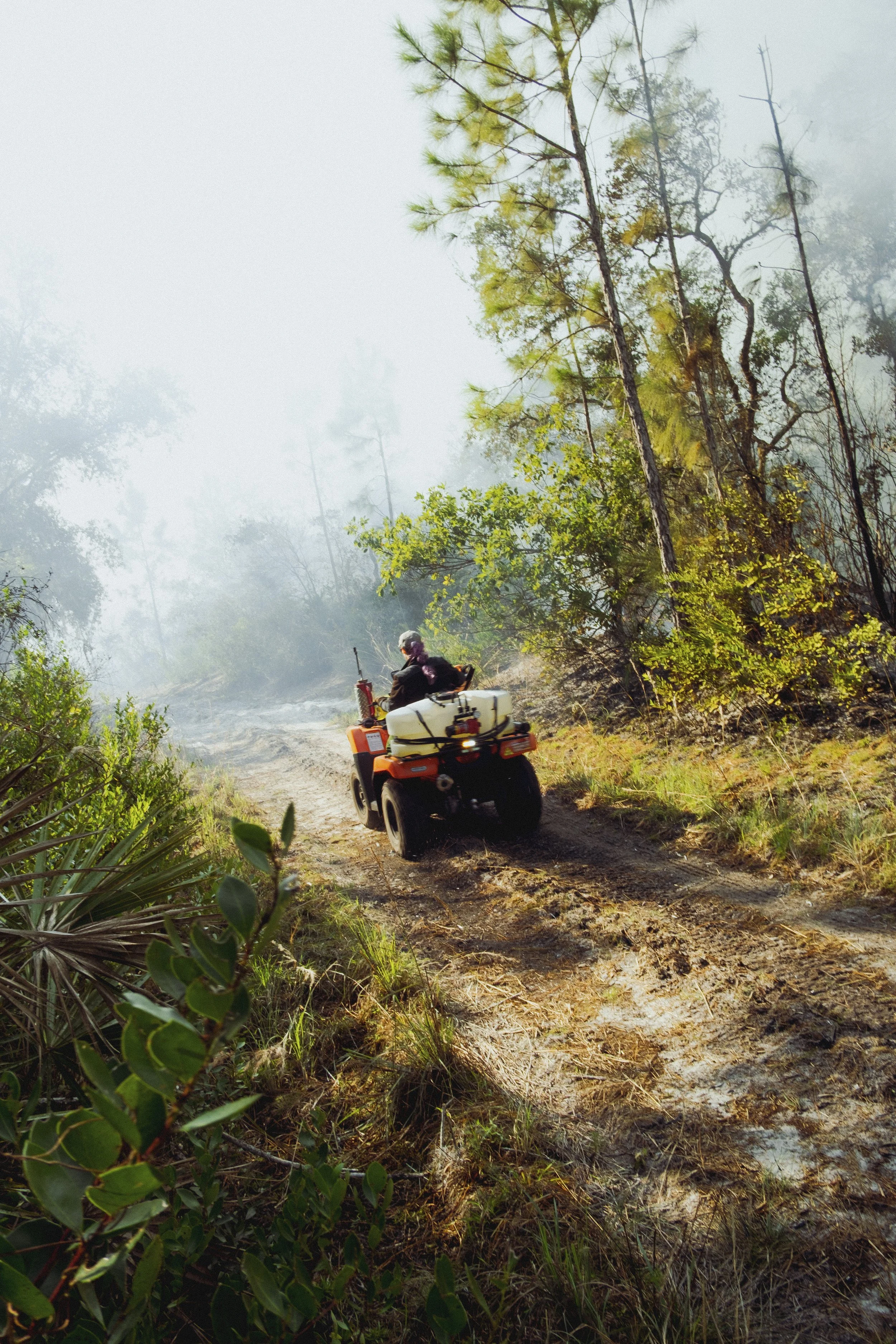 A person riding an ATV on a dirt trail through a forest with tall trees and green foliage, with a misty or smoky background.