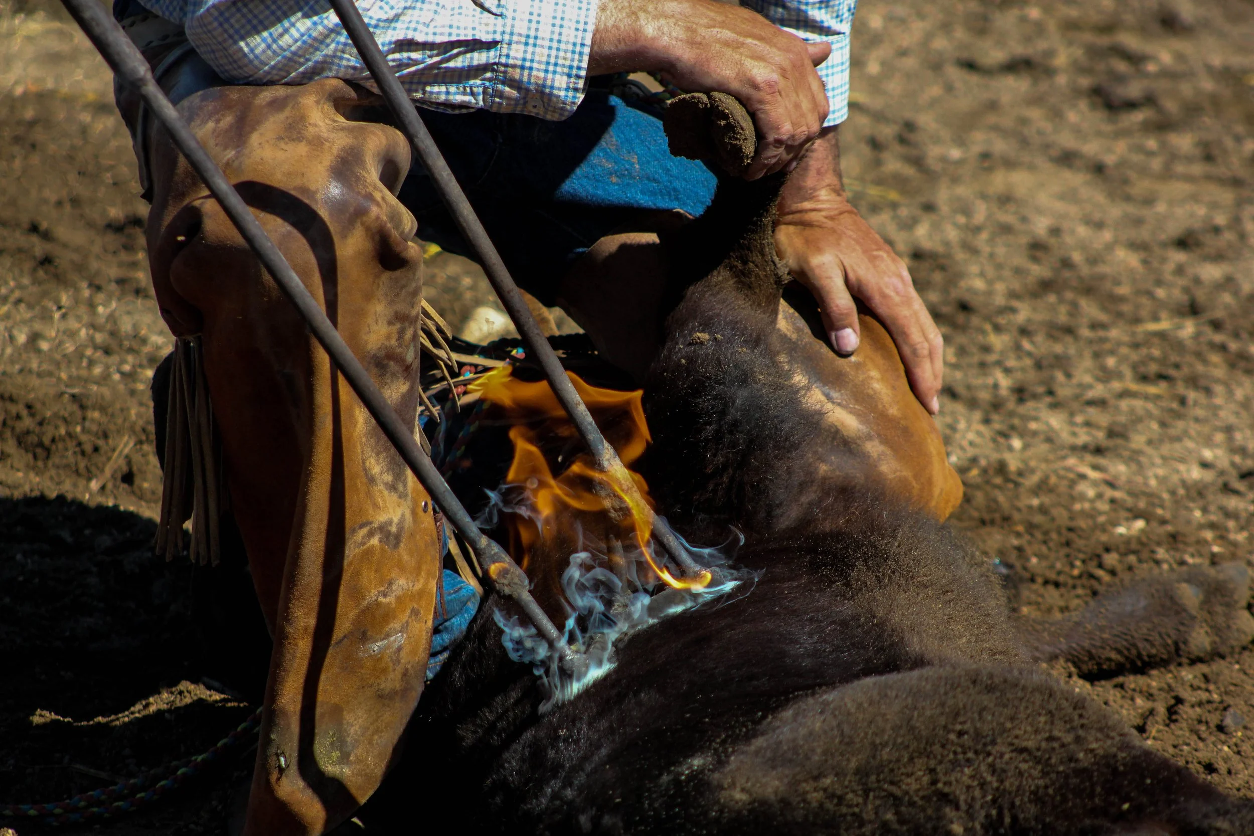 2023_05_23_WryeBranding_NJC-260 - Copy.jpg