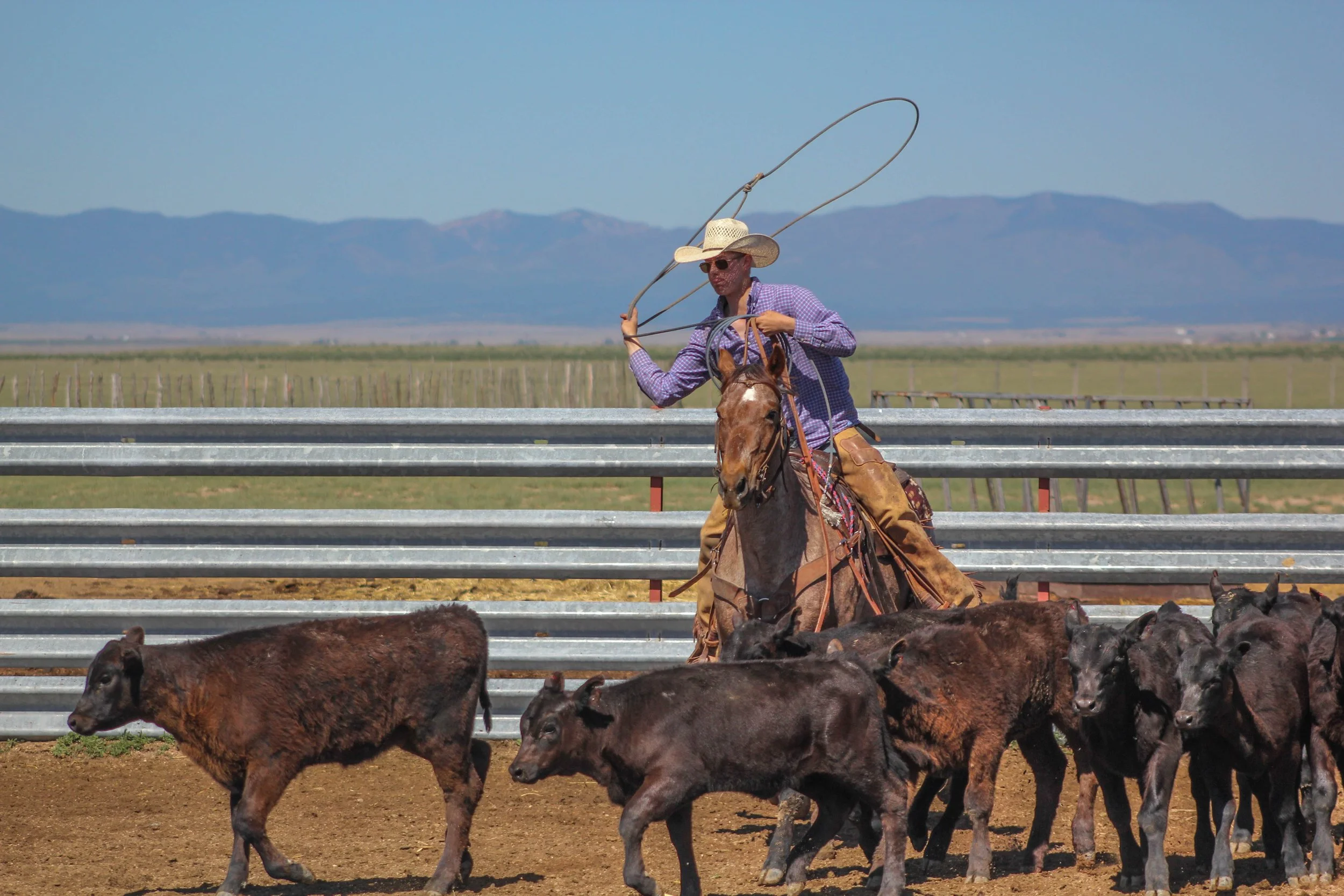 2023_05_23_WryeBranding_NJC-250 - Copy.jpg