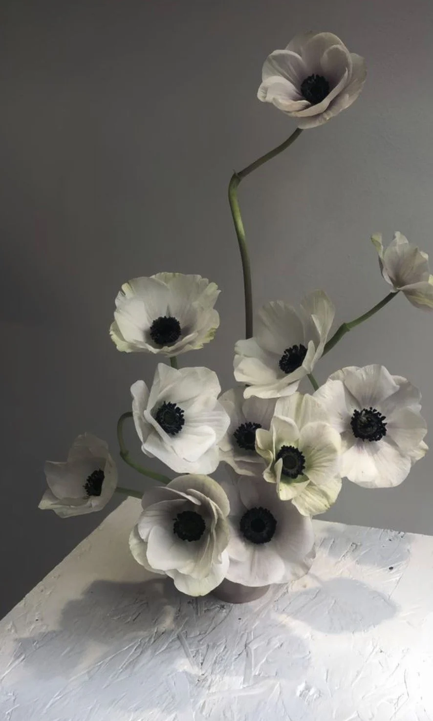 Screenshot 2026-01-12 at 5.47.07 PM.jpeg