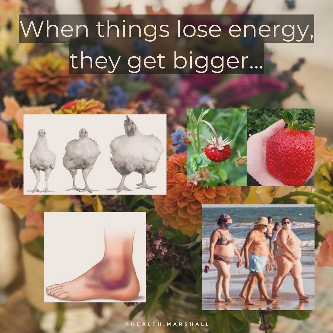 Health is having a net negative charge. When we lack voltage / net negative charge / lose electrons, we are lacking energy. So much of our food industry is being bred to be bigger and plumper, but is it lacking nutrients? 

If you don&rsquo;t have en