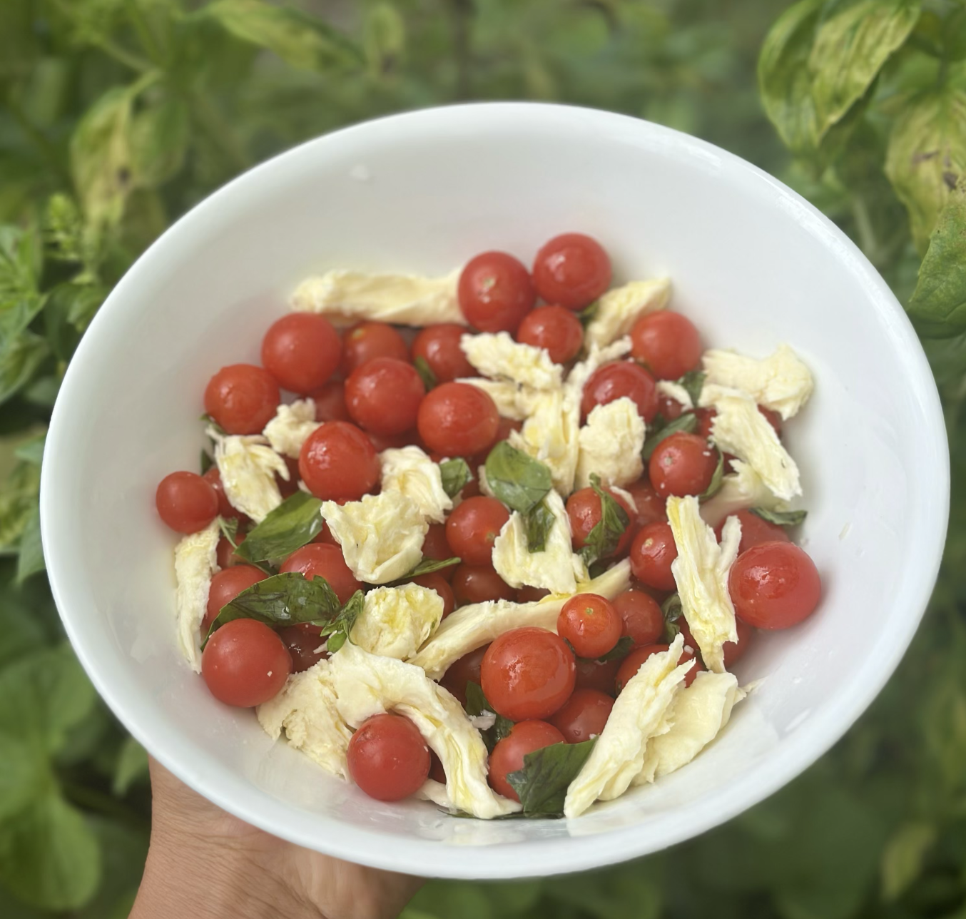 Homemade Raw Mozzarella and garden caprese (+ whey ricotta recipe)