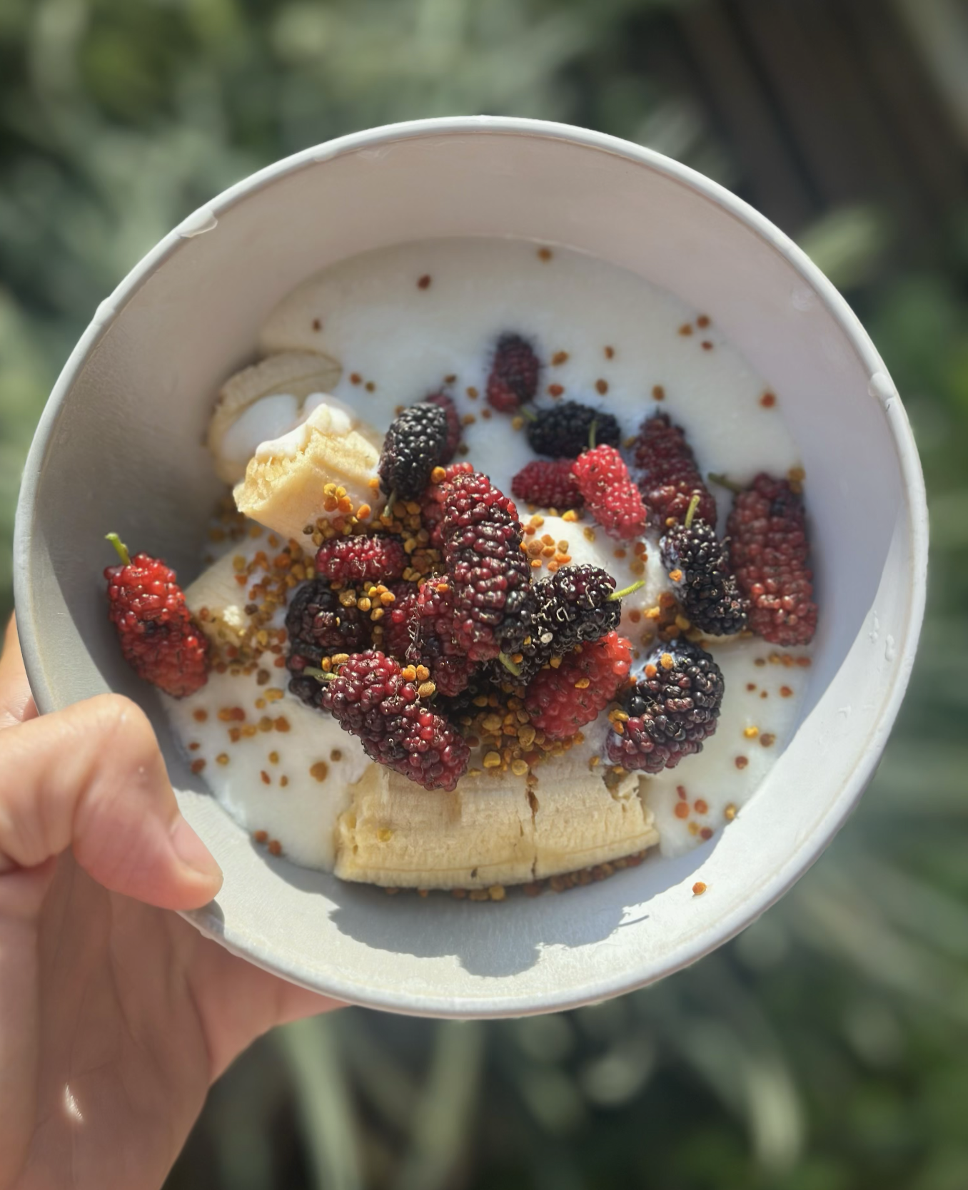 Raw Milk Kefir — A Living Daily Ferment