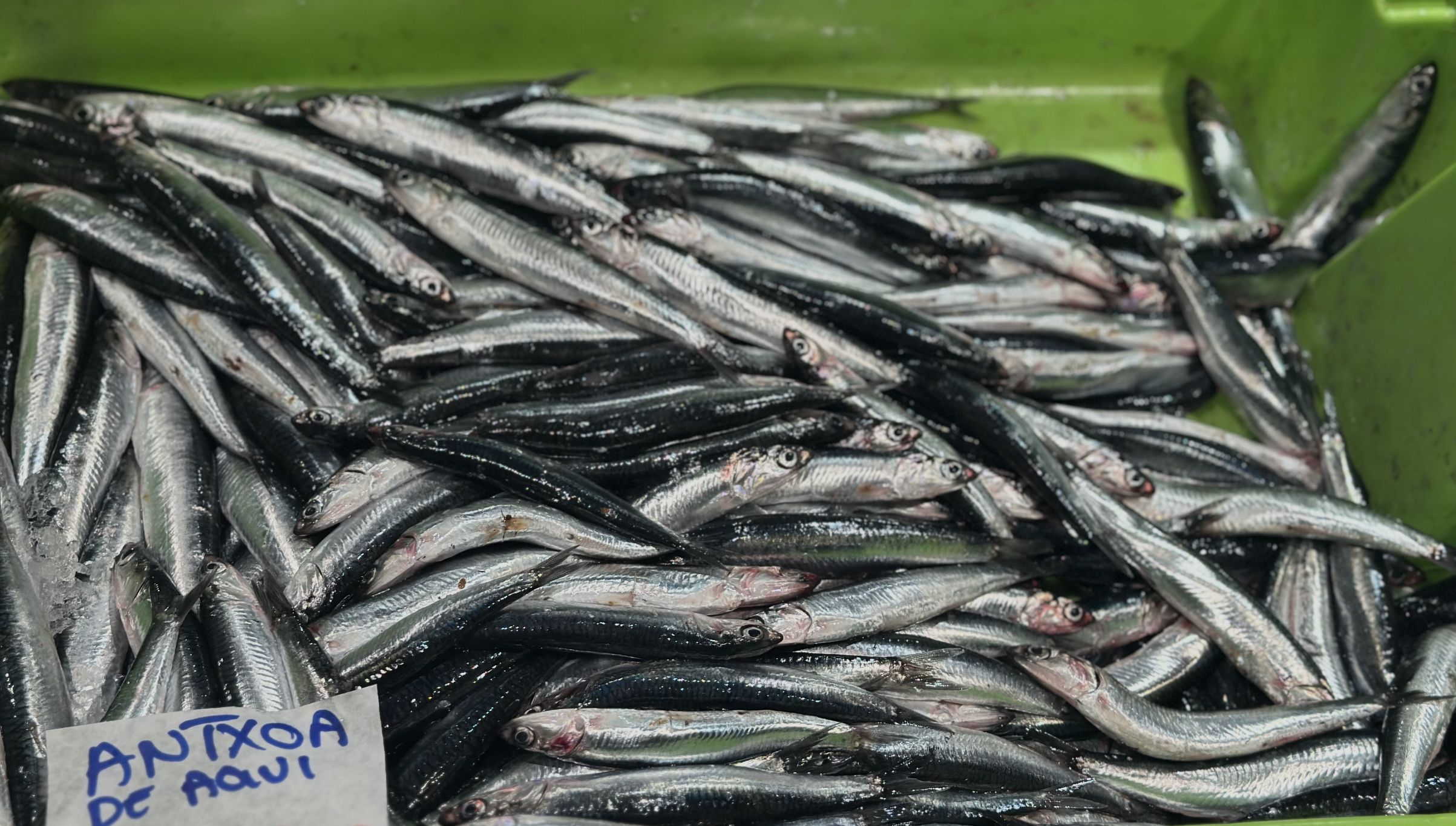 Visiting the World's Best Anchovies &amp; Ways to Cook and Eat Them