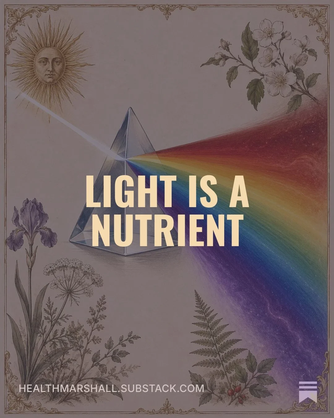 Light Is a Nutrient