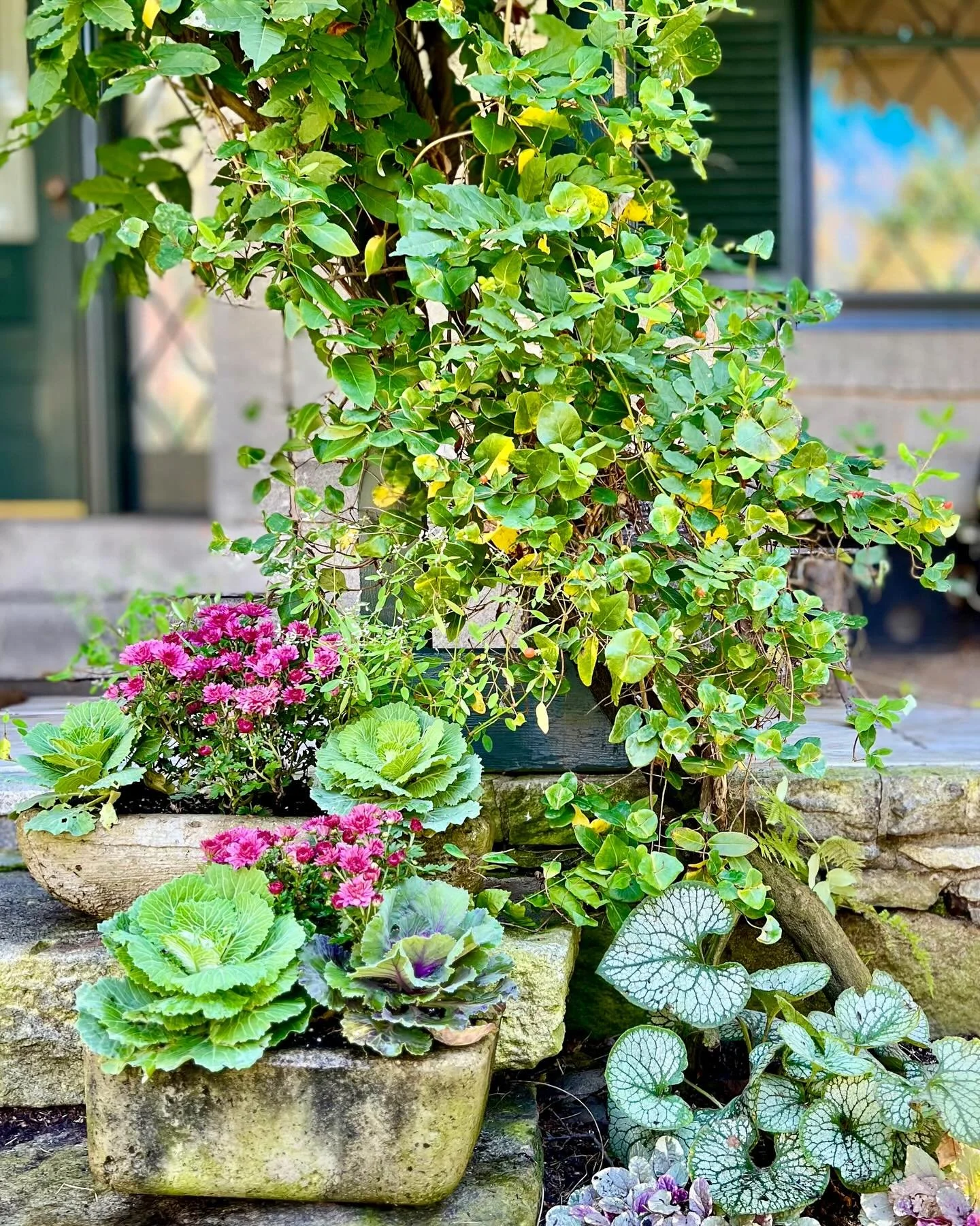 Stone, foliage, and fall color — the perfect trio πππ #GardenDetails #FallVibes #AldenLaurel #fallinnewengland #ConcordMa #itsfallyall