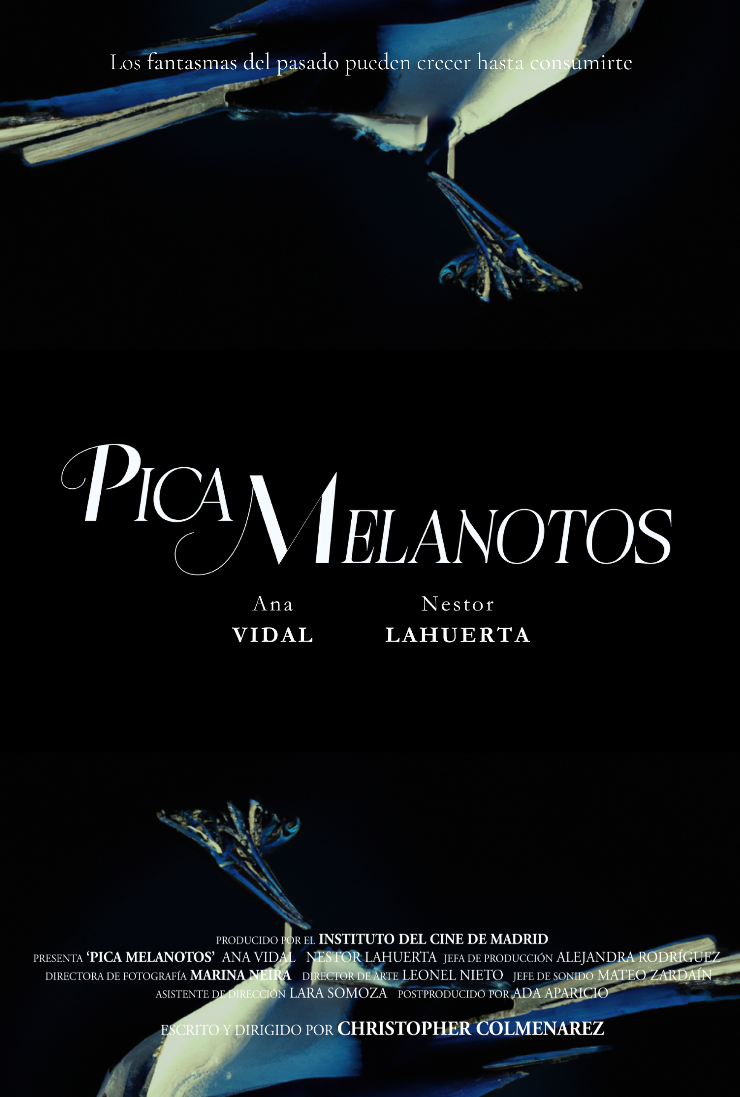 pica melanotos poster.png