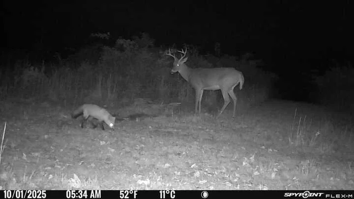 December 2025 Trail Shoot Results 