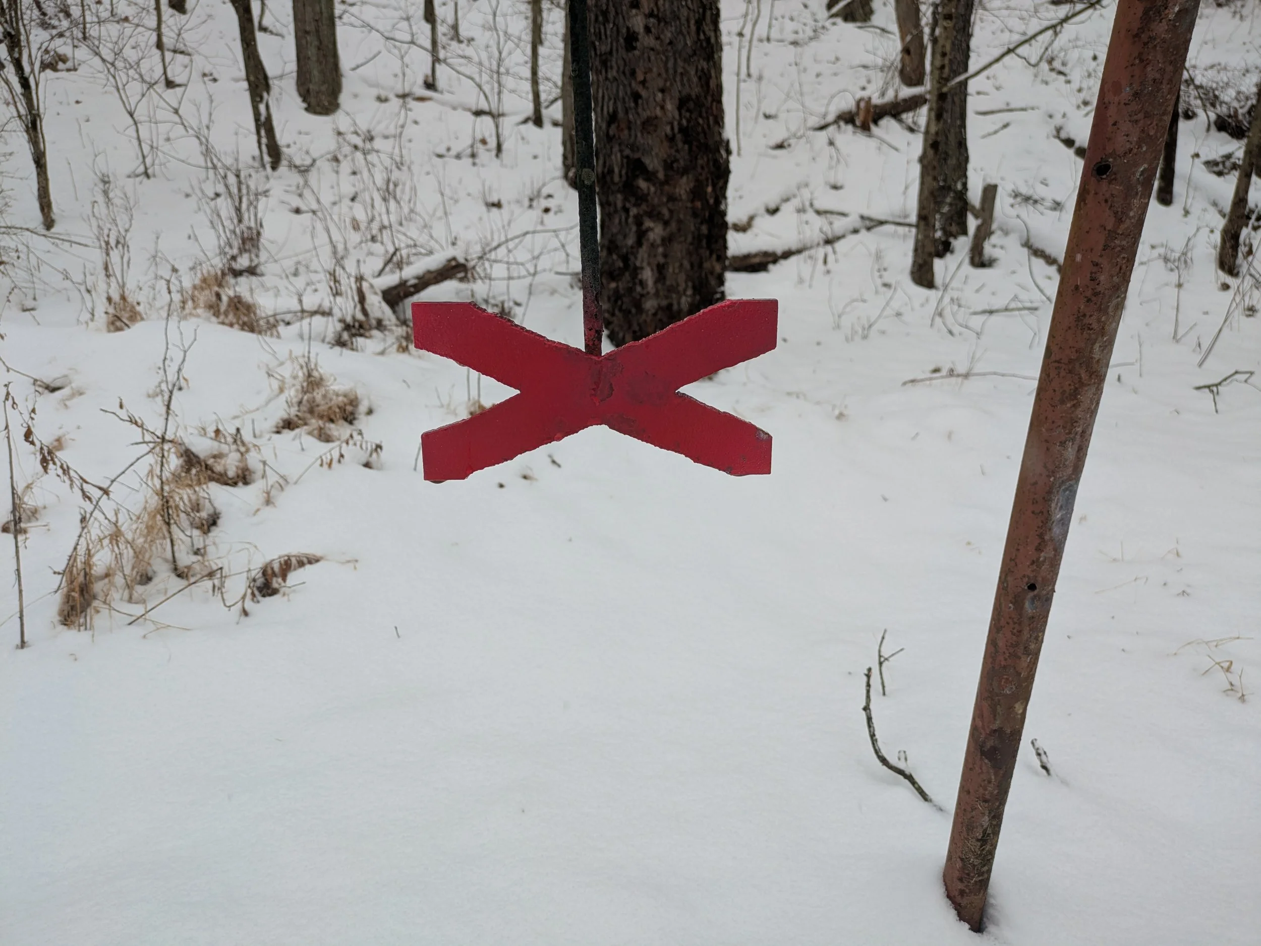 January 2026 Trail Shoot Results 