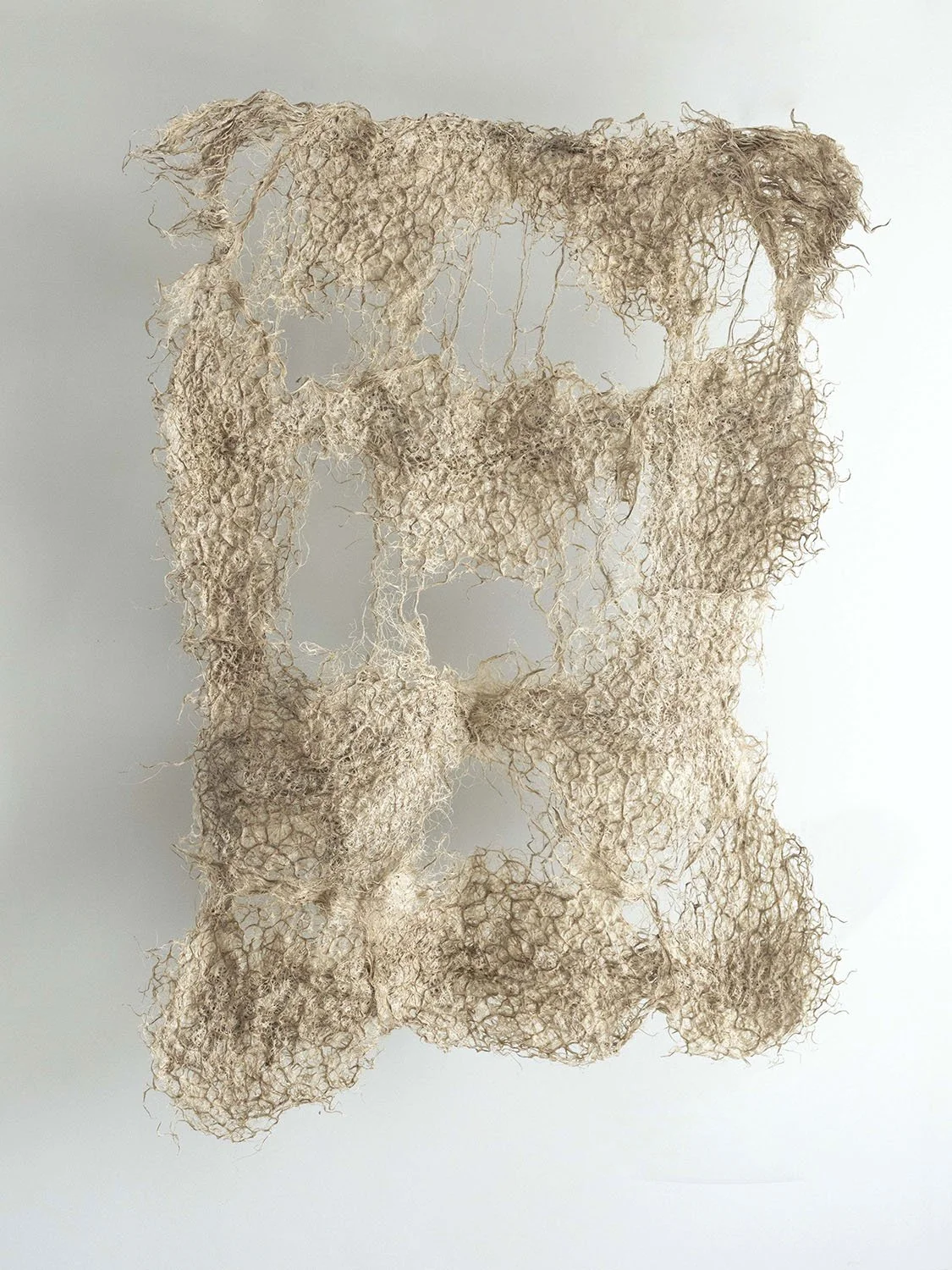 【極美品】Terrell L. Root症例集　Terrell L.Root Bio-designed Root Sample — Rootfull