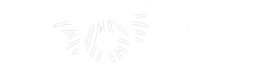 Material Innovation And Bio Design Crafting New Materials For The