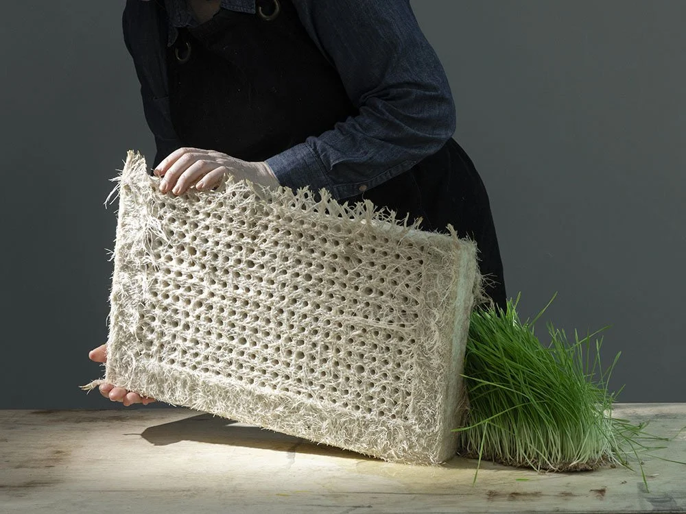 Material Back Root ROOTFULL collaborates with designers and makers — Rootfull