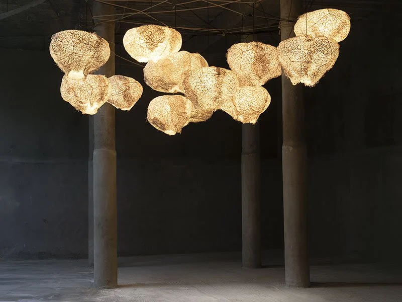 Rootfull Collections | Unique Root-Grown Living Textiles & Lighting ...