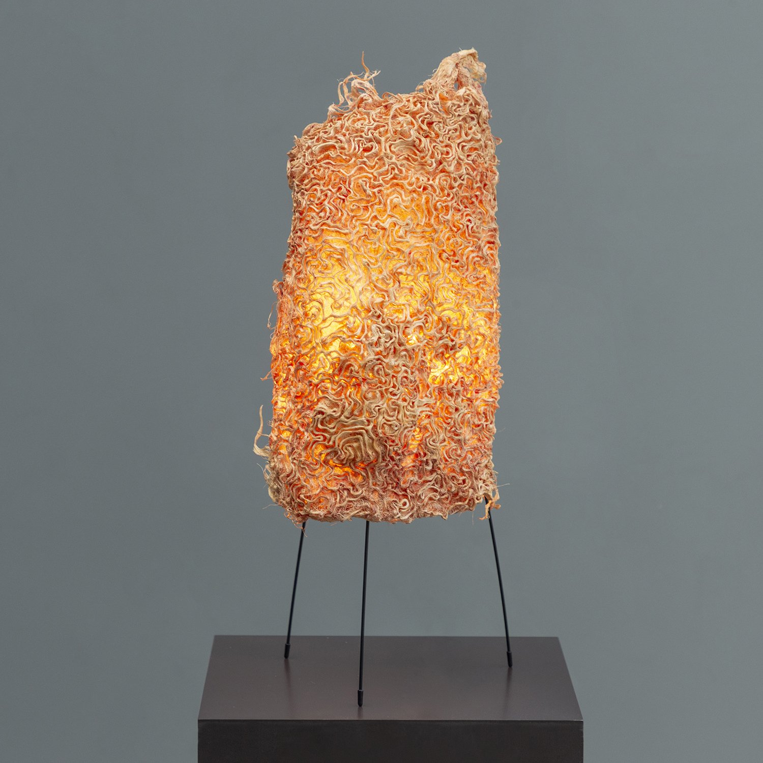 root-lamp-25_1.jpg