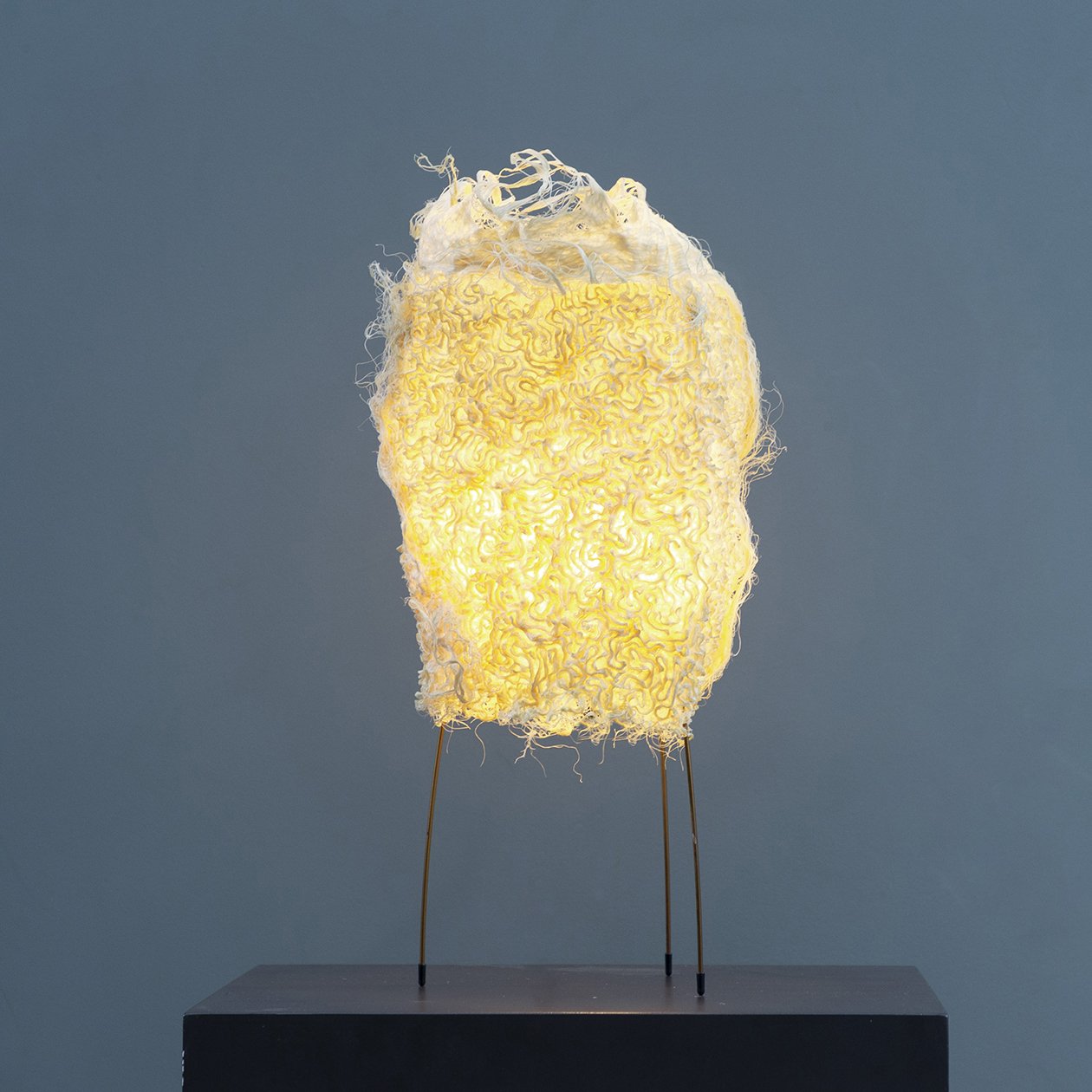 root-lamp-28.jpg