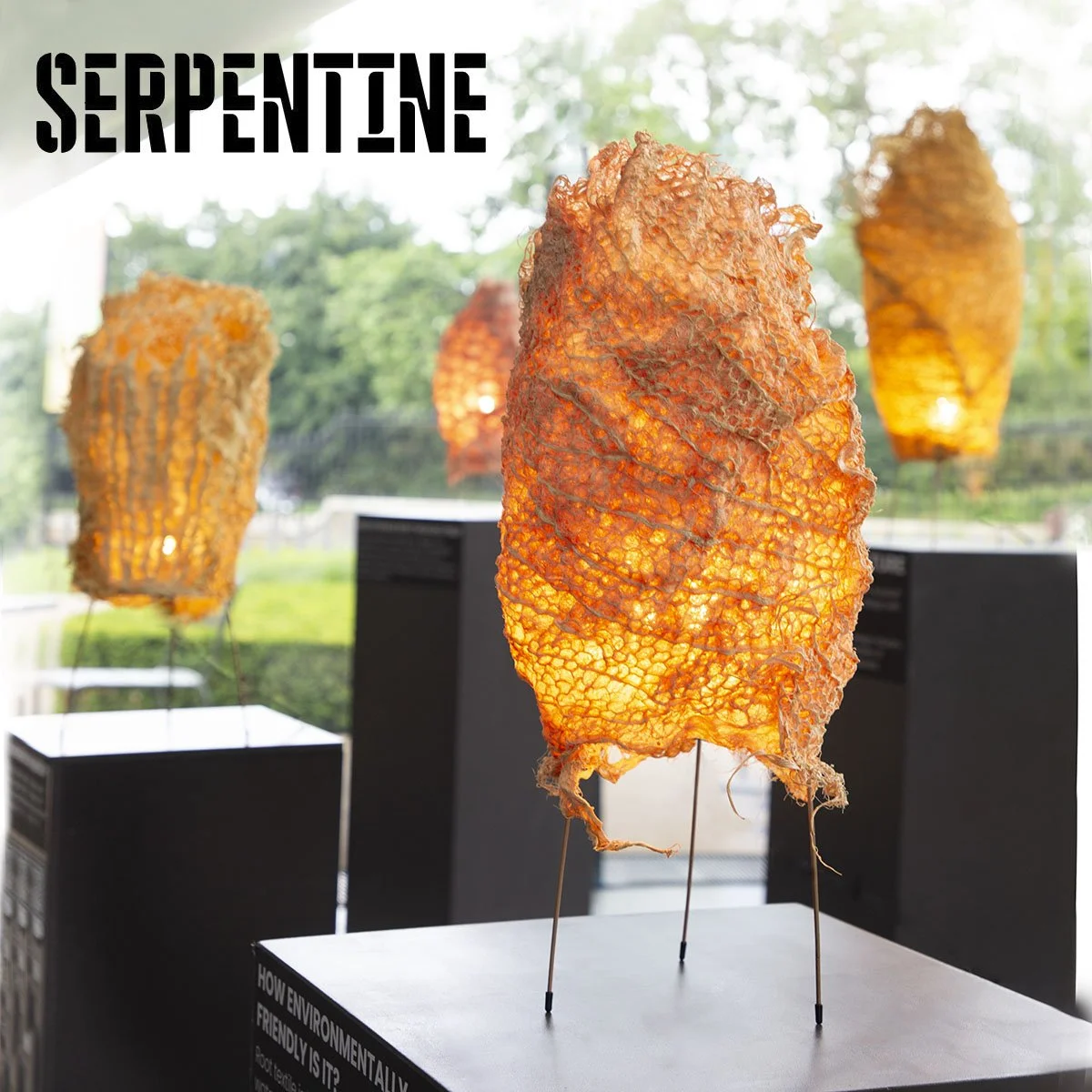Serpentine Gallery, Ocean Talks
