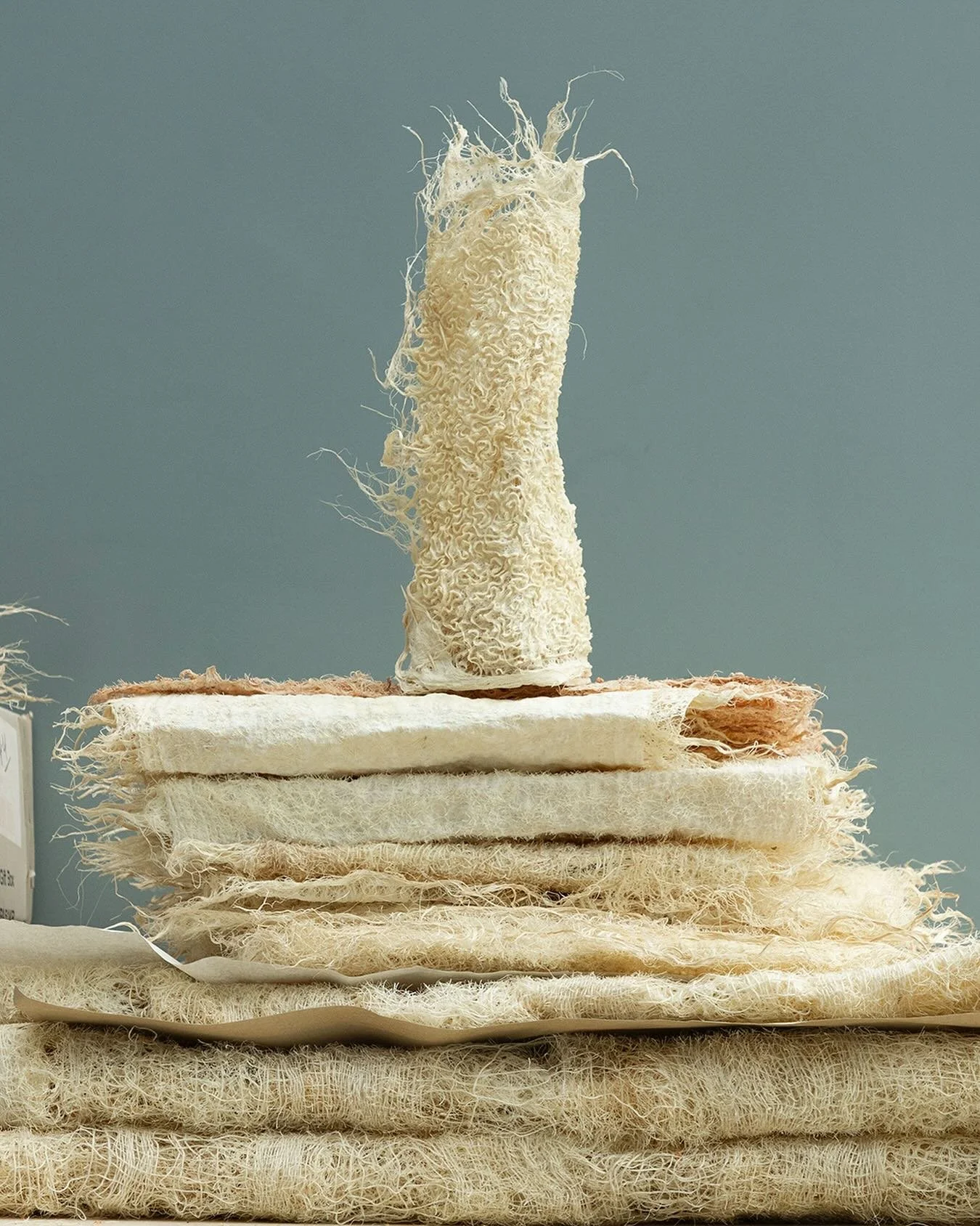 #newgrowth 
#contemporarycraft 
#insidethestudio