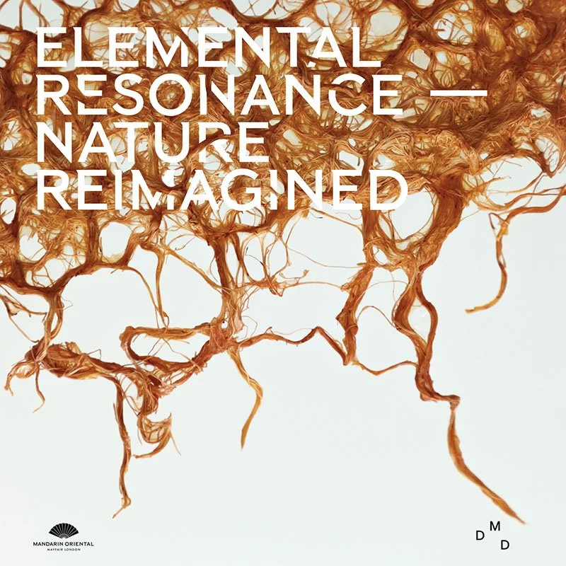 ELEMENTAL RESONANCE | Nature Reimagined