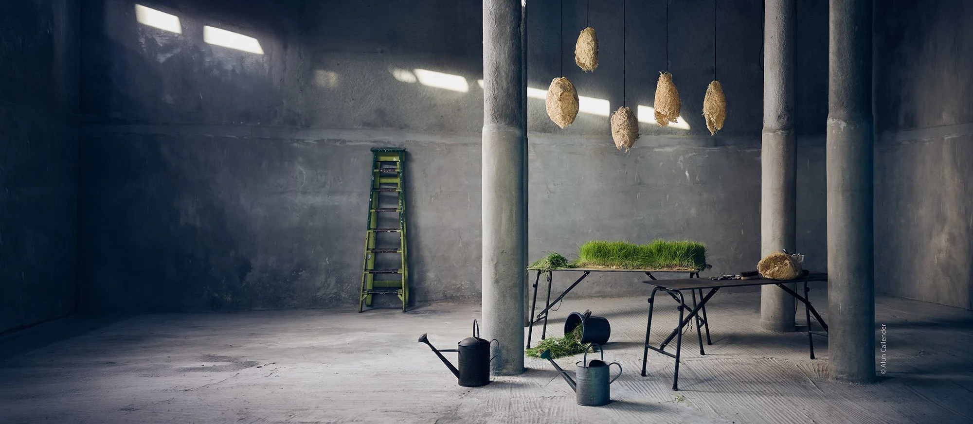 ROOTFULL Grows lighting and contemporary craft from plant root