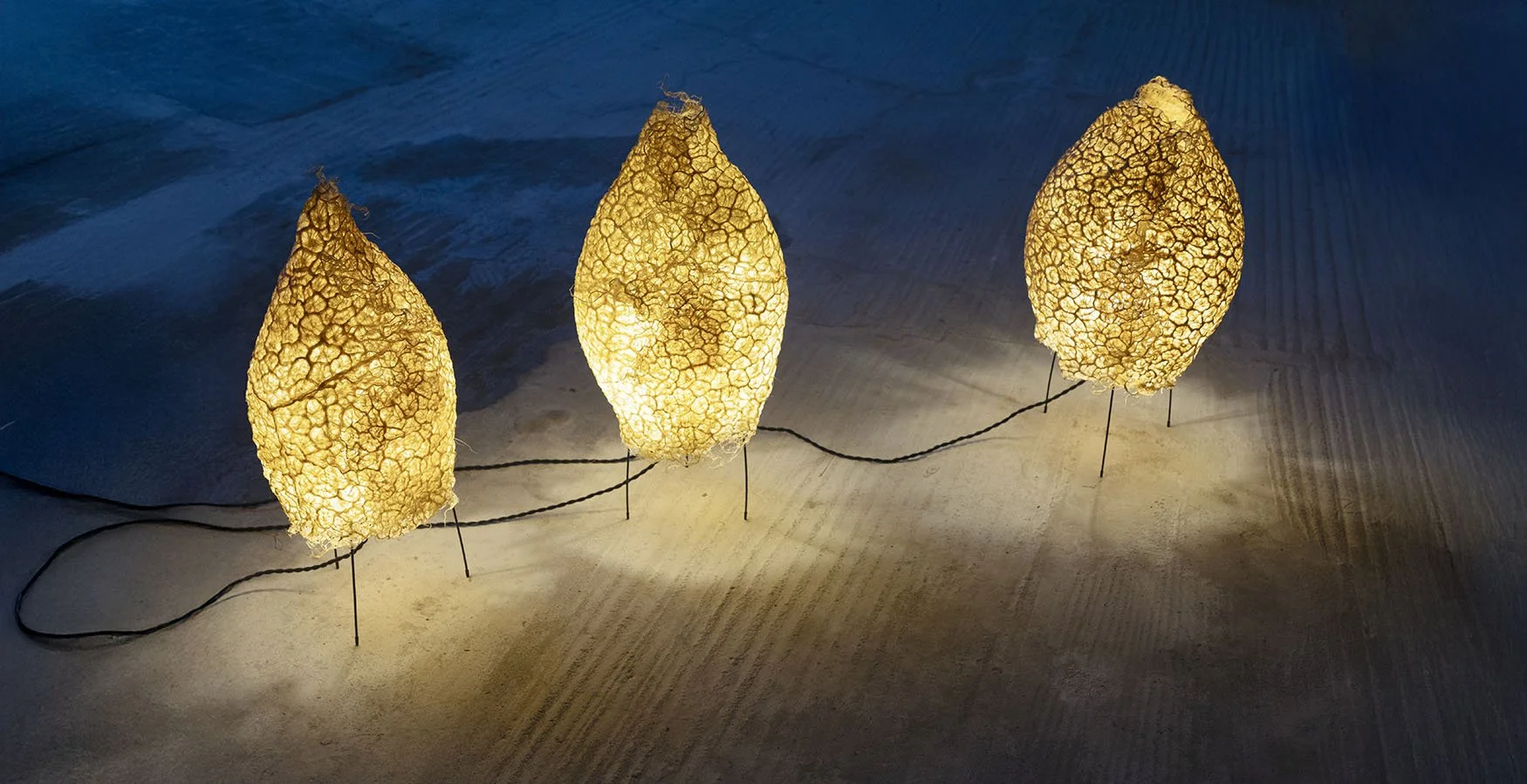 Astrea Lamp -
Grass root, mounted on wire frame, 
Approximately  60 x 32 x 25 cm