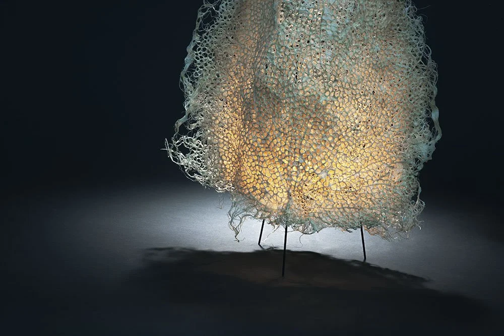 Rootfull Collections | Unique Root-Grown Living Textiles & Lighting ...
