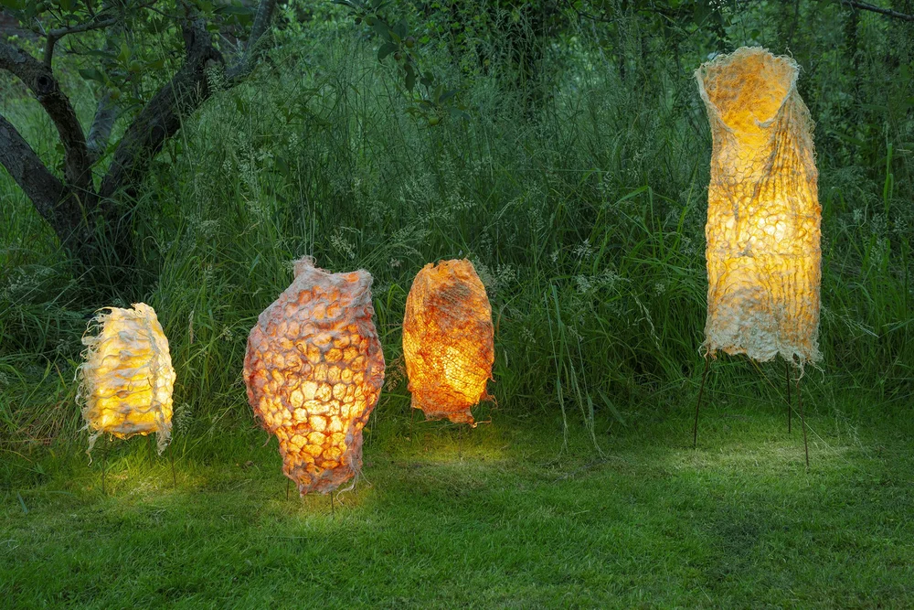 Root Light Ideas Material innovation and bio-design - crafting new materials for the ...