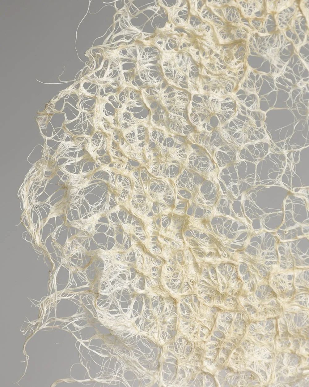 Contemporary craft and unique bio designed art works, grown from root ...