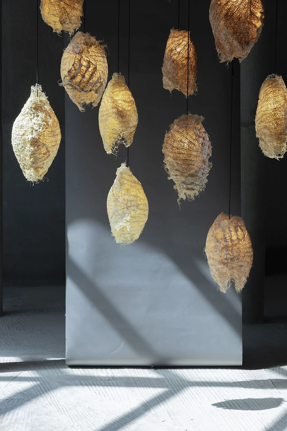 light-pod-root-10.jpg?format=1000w