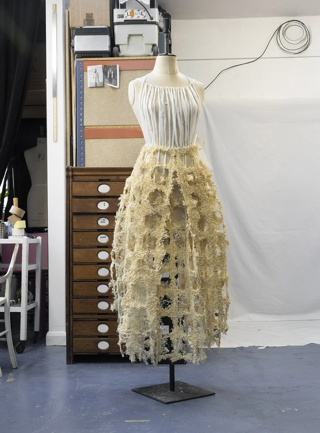 INTRODUCING A REVOLUTIONARY PLANT ROOT TEXTILE — Rootfull