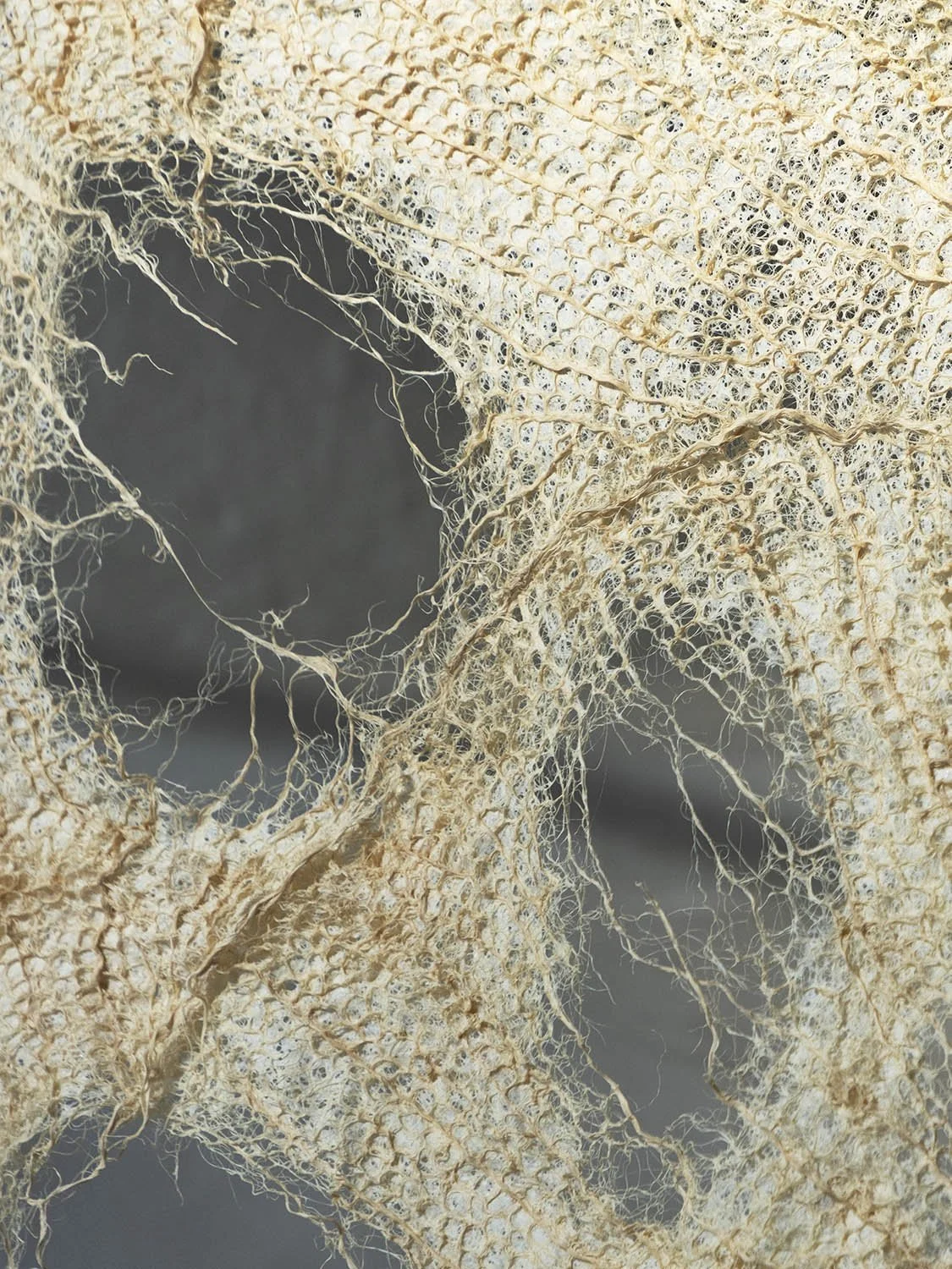 quilt-root-2-close-up.jpg