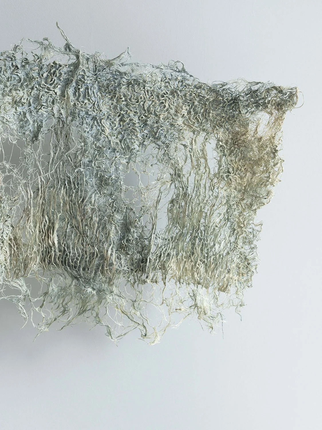 Bio-designed Root Sample — Rootfull