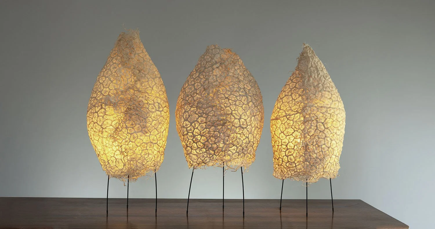 Astrea Lamp -
Grass root, mounted on wire frame, 
Approximately  60 x 32 x 25 cm