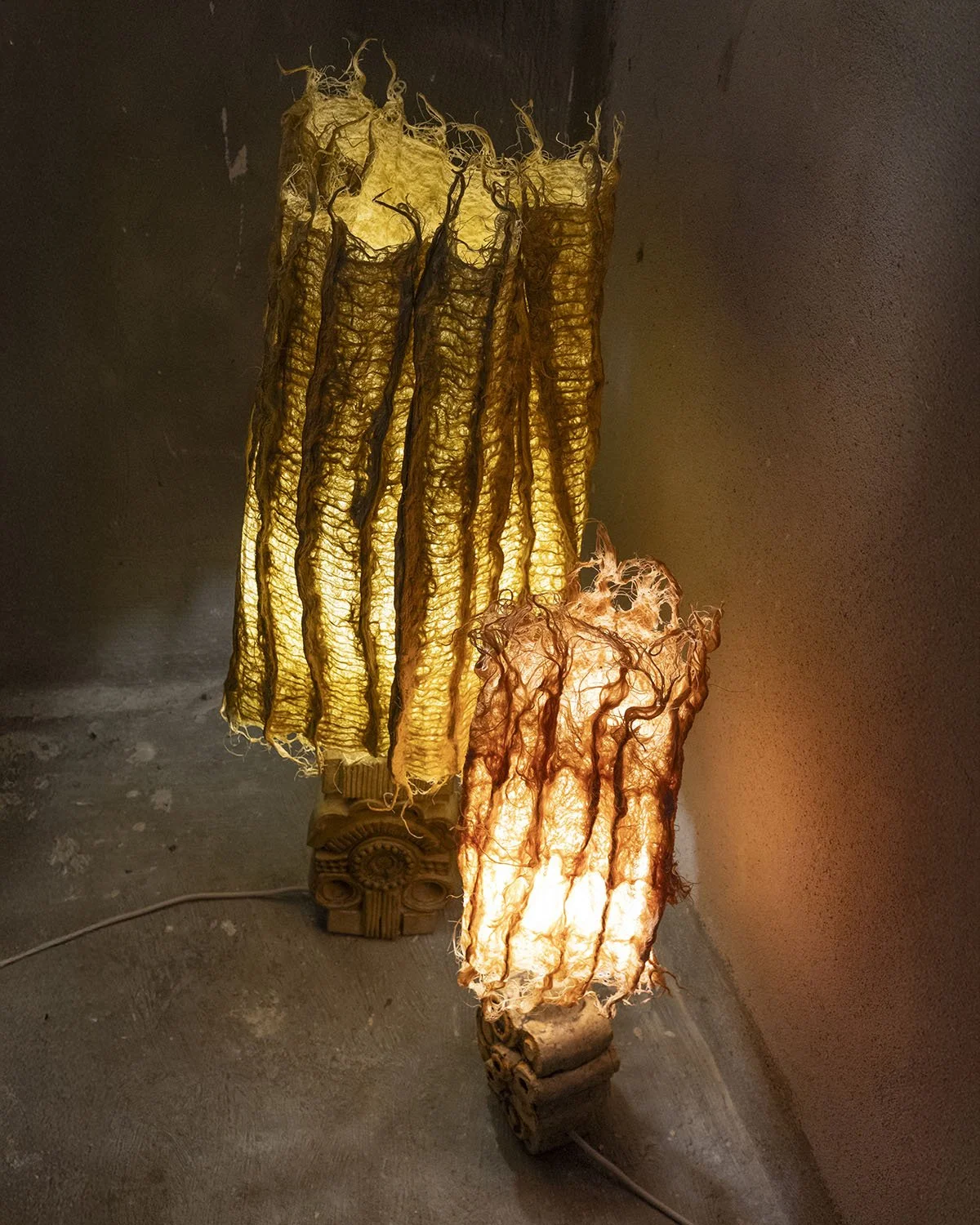 Yellow weld root shade and small madder blush root shade.