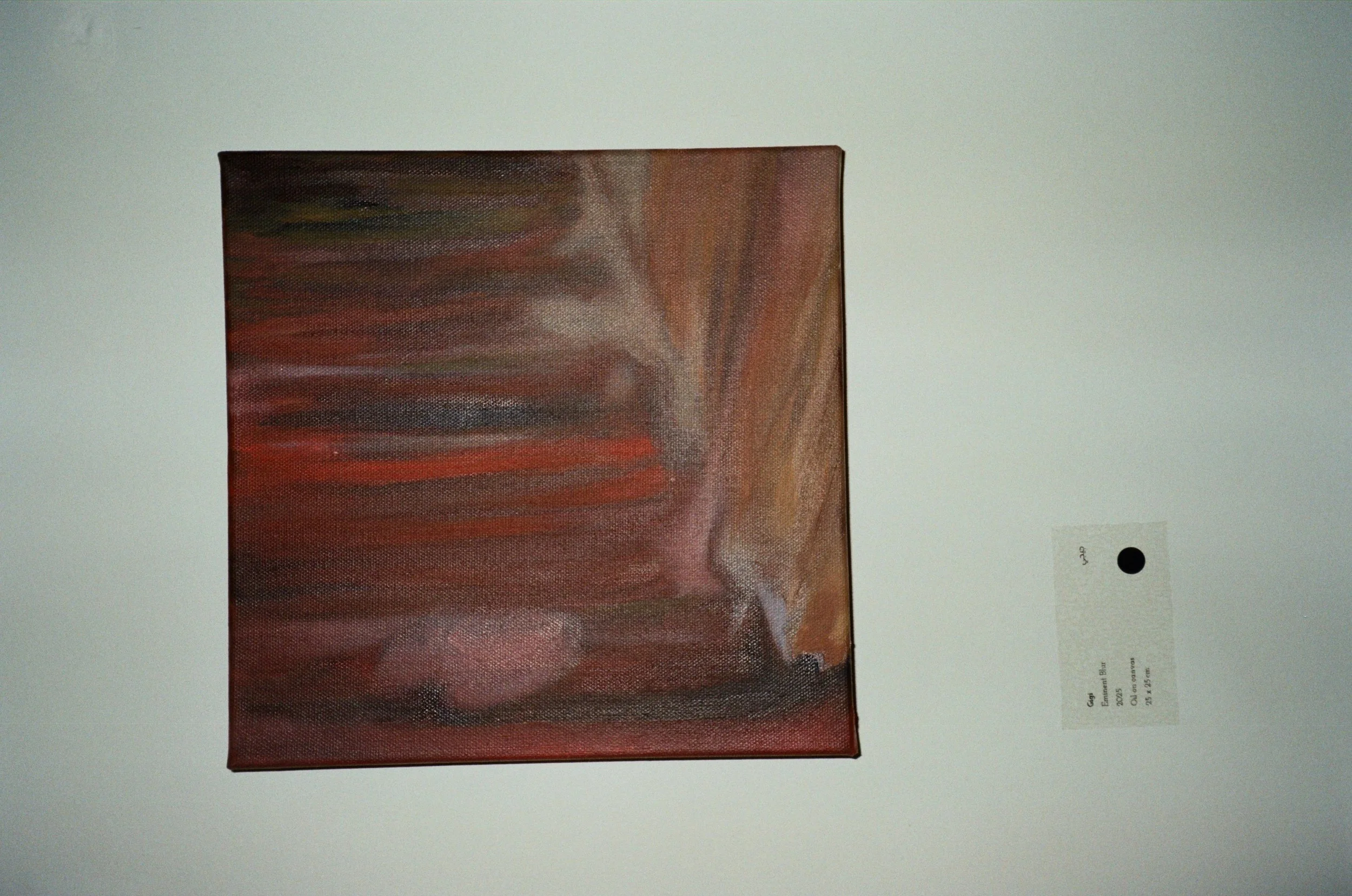 WhatsApp Image 2026-02-19 at 16.11.36 (4).jpeg