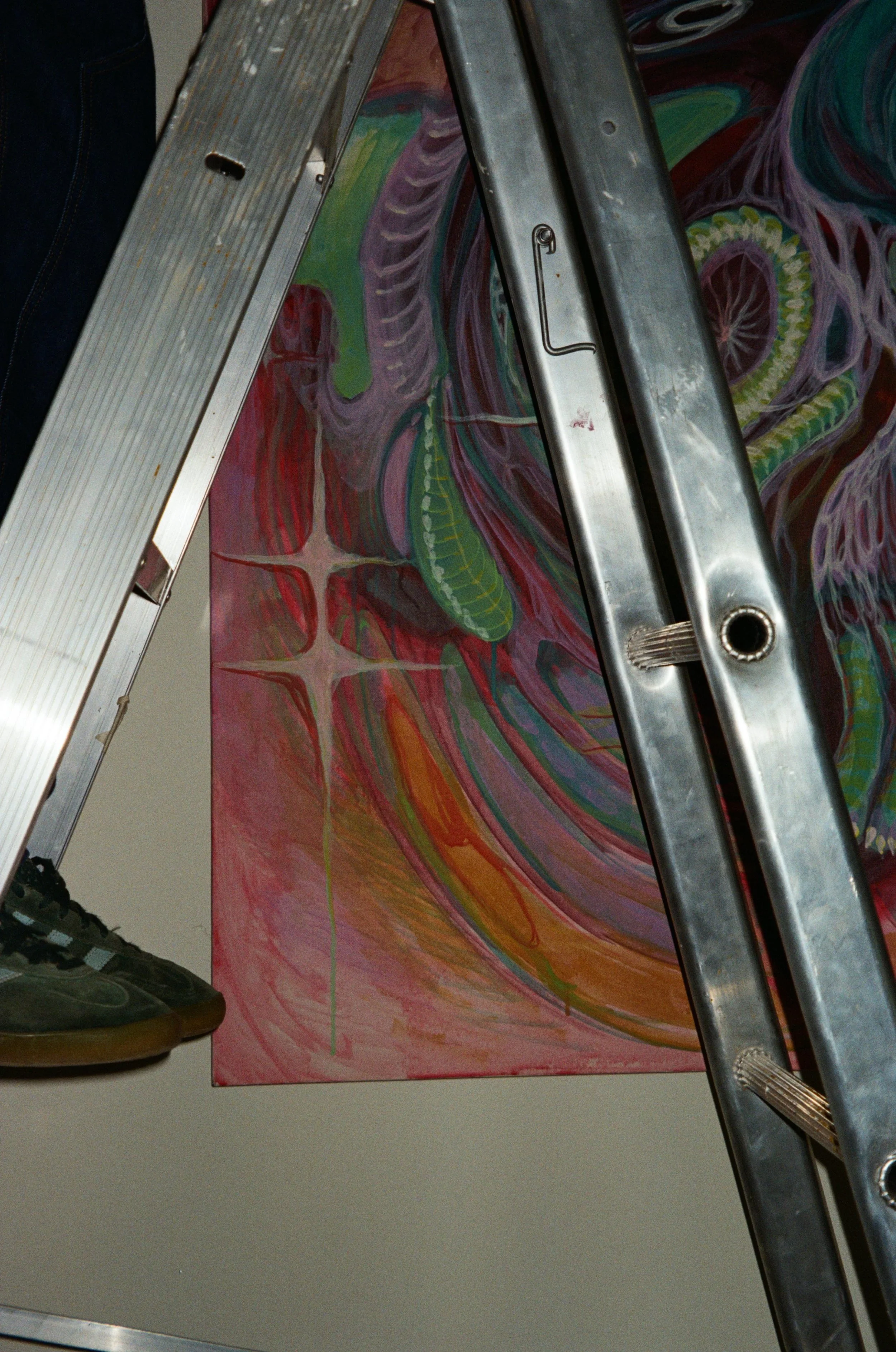 WhatsApp Image 2026-02-19 at 16.11.31 (6).jpeg