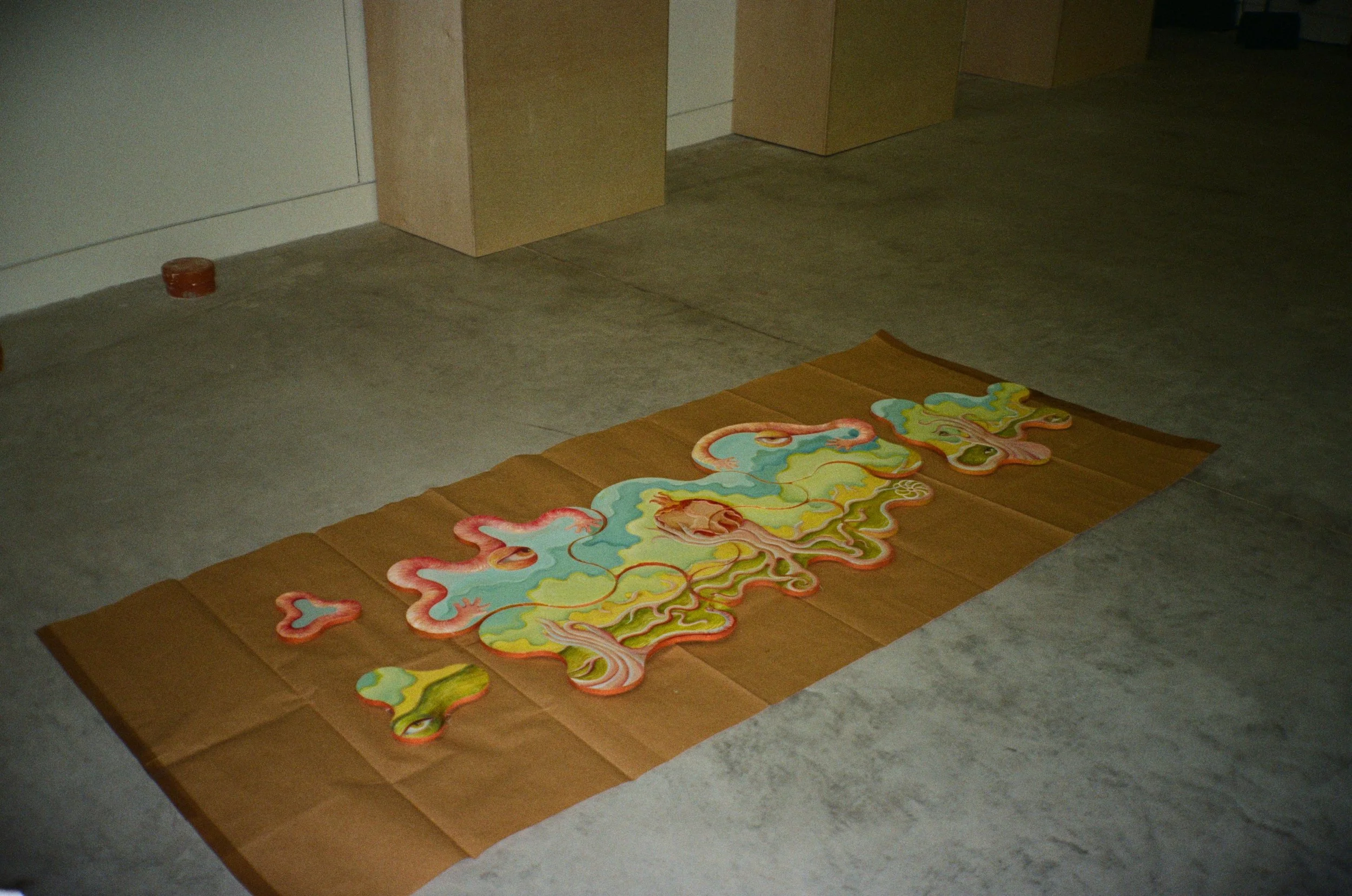 WhatsApp Image 2026-02-19 at 16.11.34.jpeg