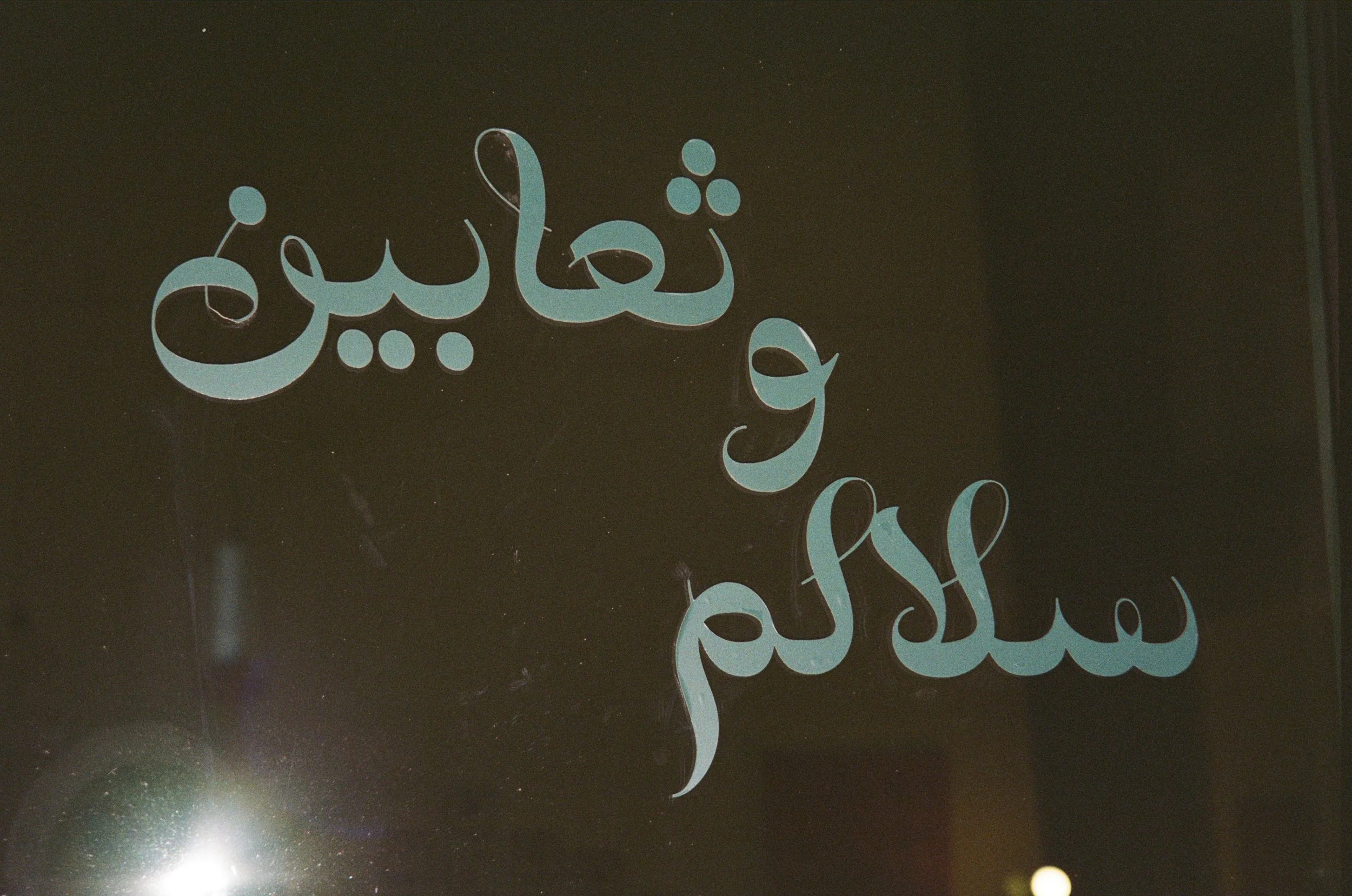 WhatsApp Image 2026-02-19 at 16.11.36.jpeg