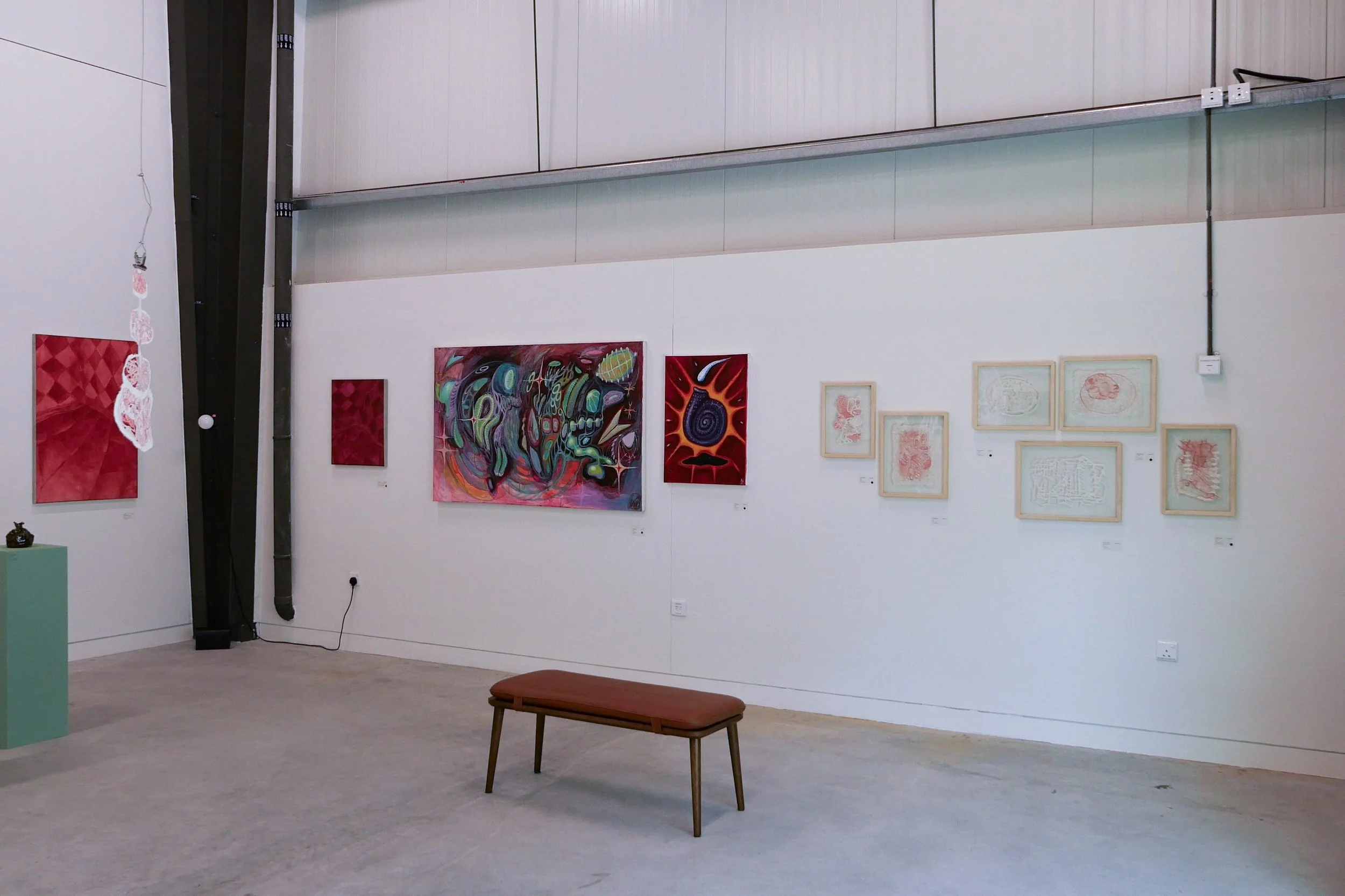 WhatsApp Image 2026-01-27 at 12.21.44.jpeg