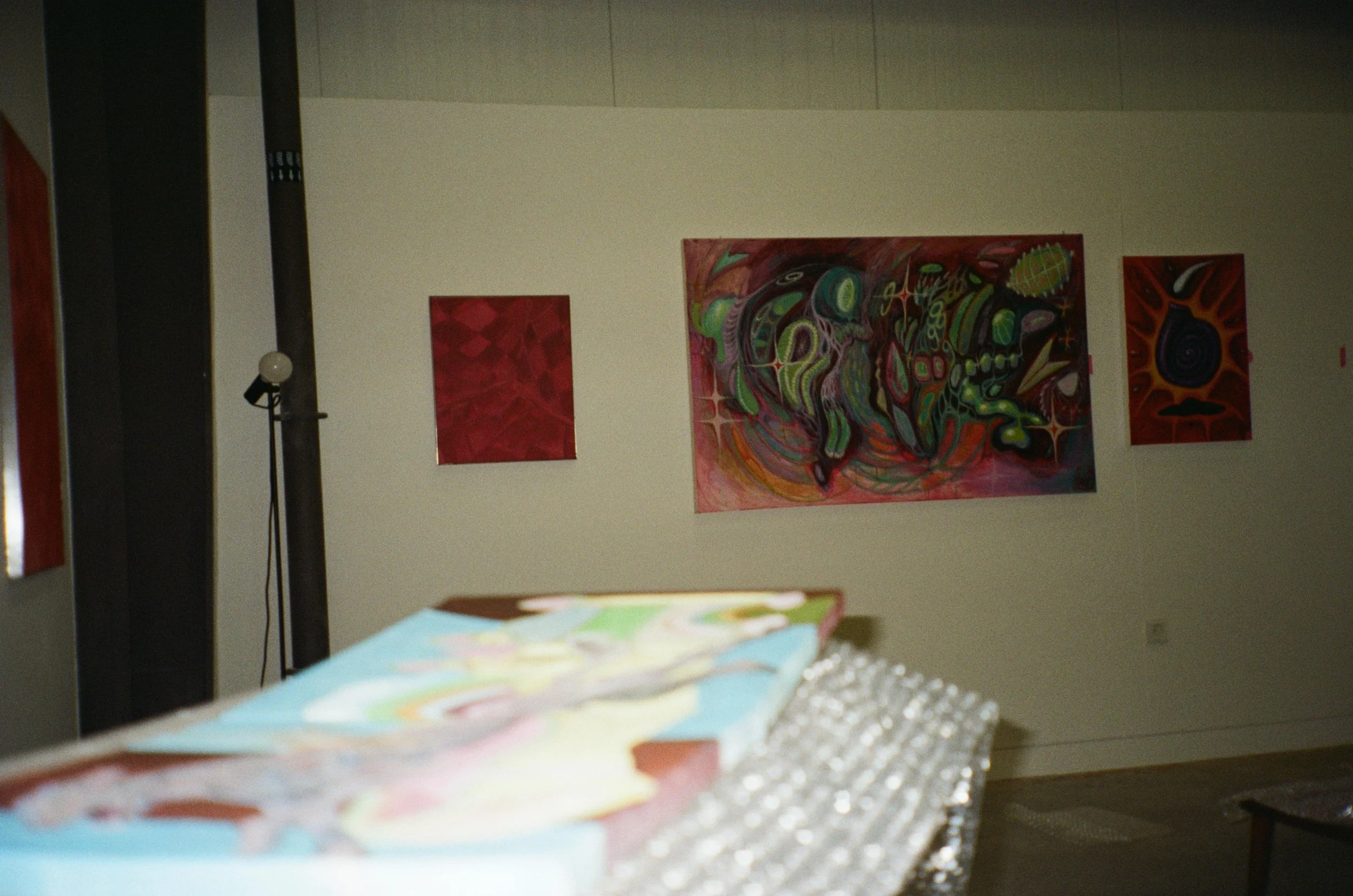 WhatsApp Image 2026-02-19 at 16.11.35 (6).jpeg