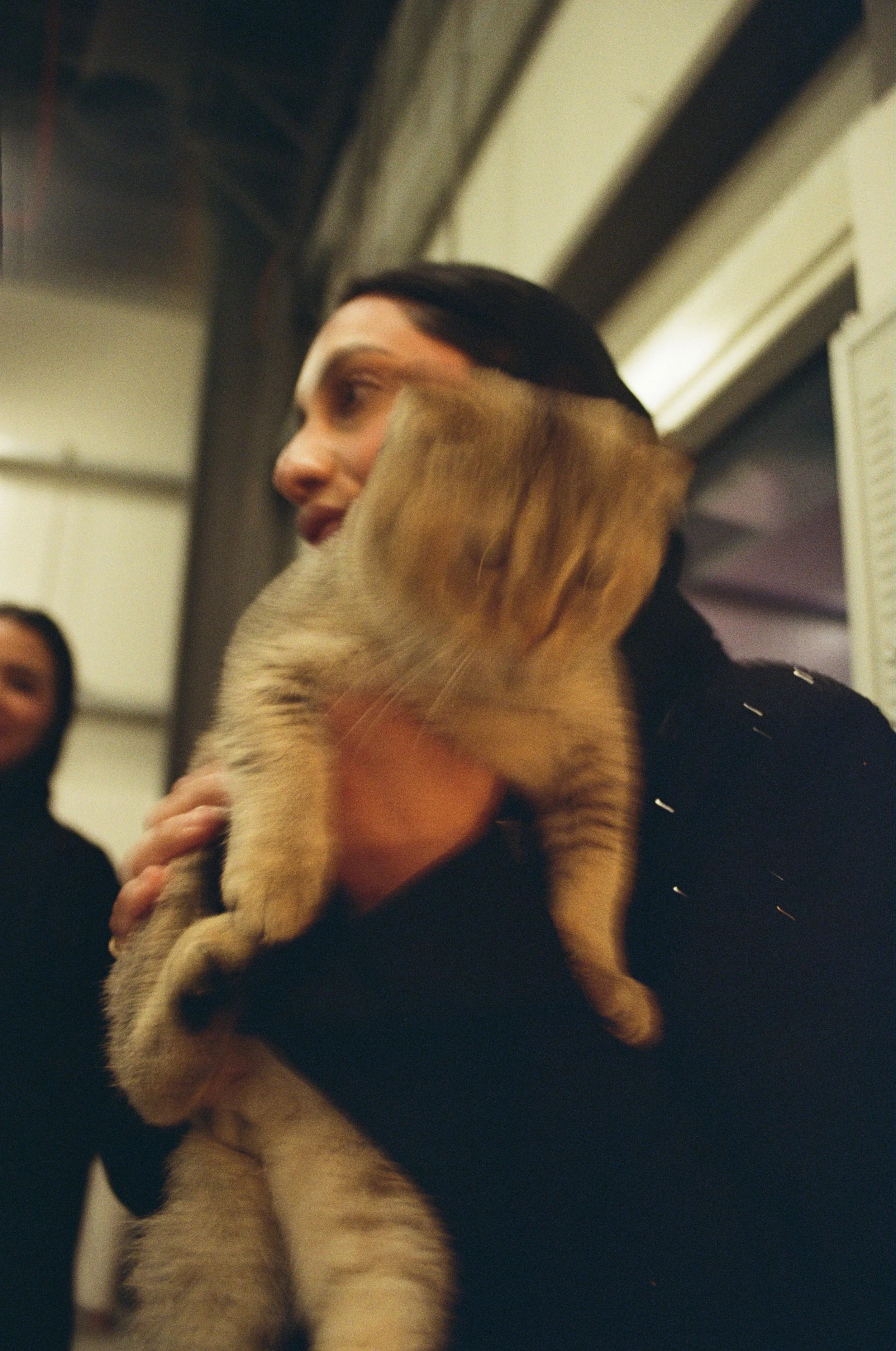 WhatsApp Image 2026-02-19 at 16.11.32 (1).jpeg