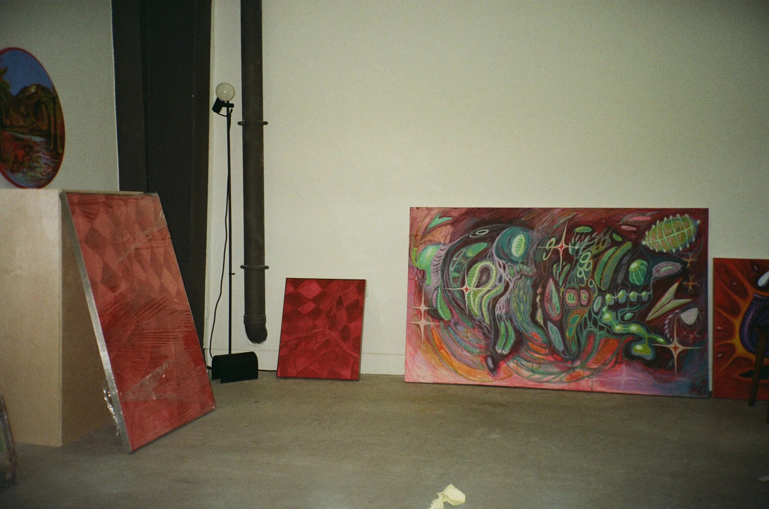 WhatsApp Image 2026-02-19 at 16.11.33 (8).jpeg