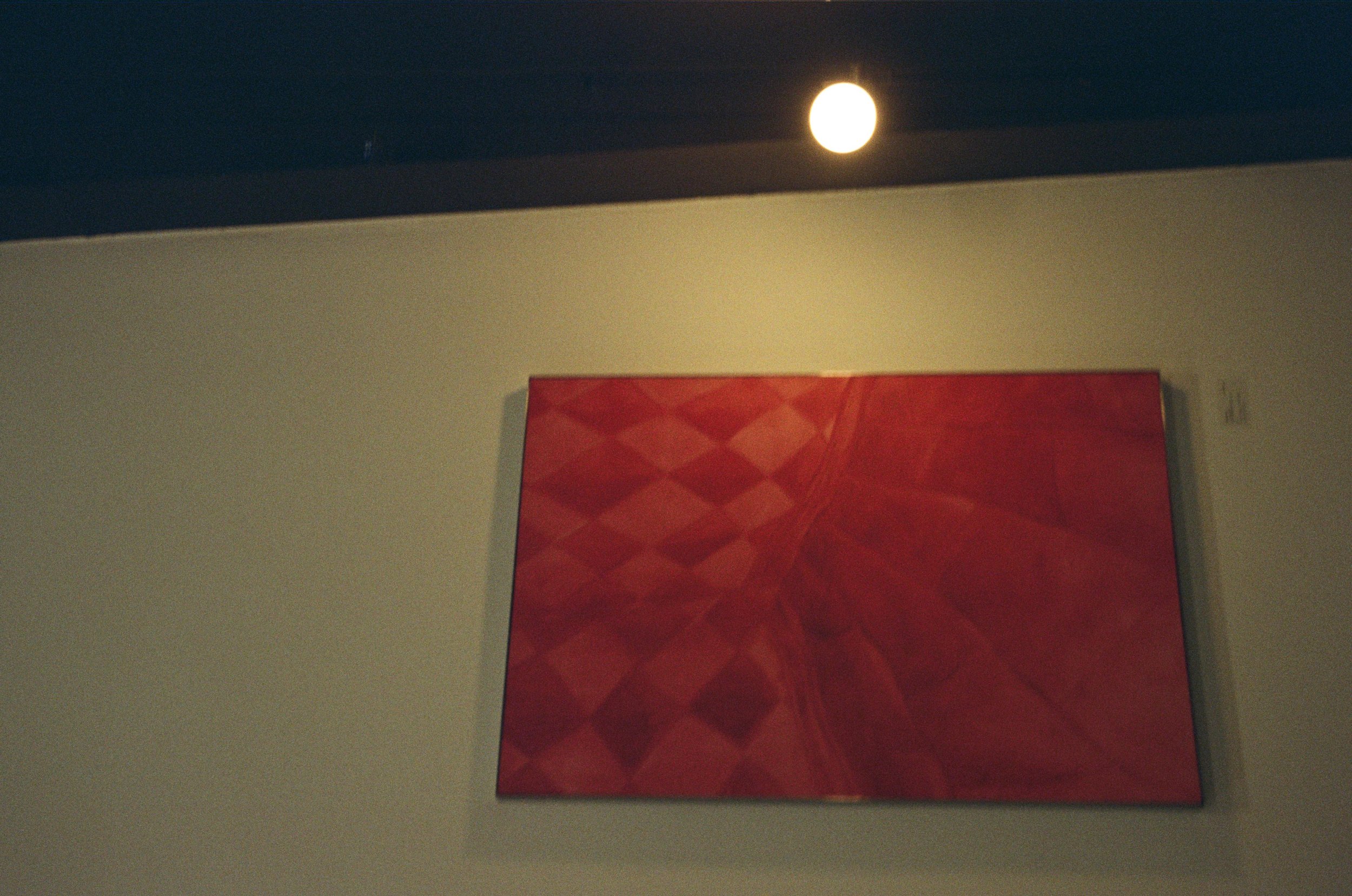 WhatsApp Image 2026-02-19 at 16.11.33 (2).jpeg