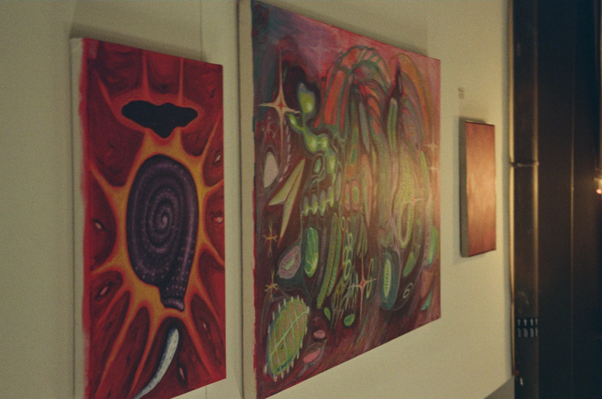 WhatsApp Image 2026-02-19 at 16.11.33 (3).jpeg