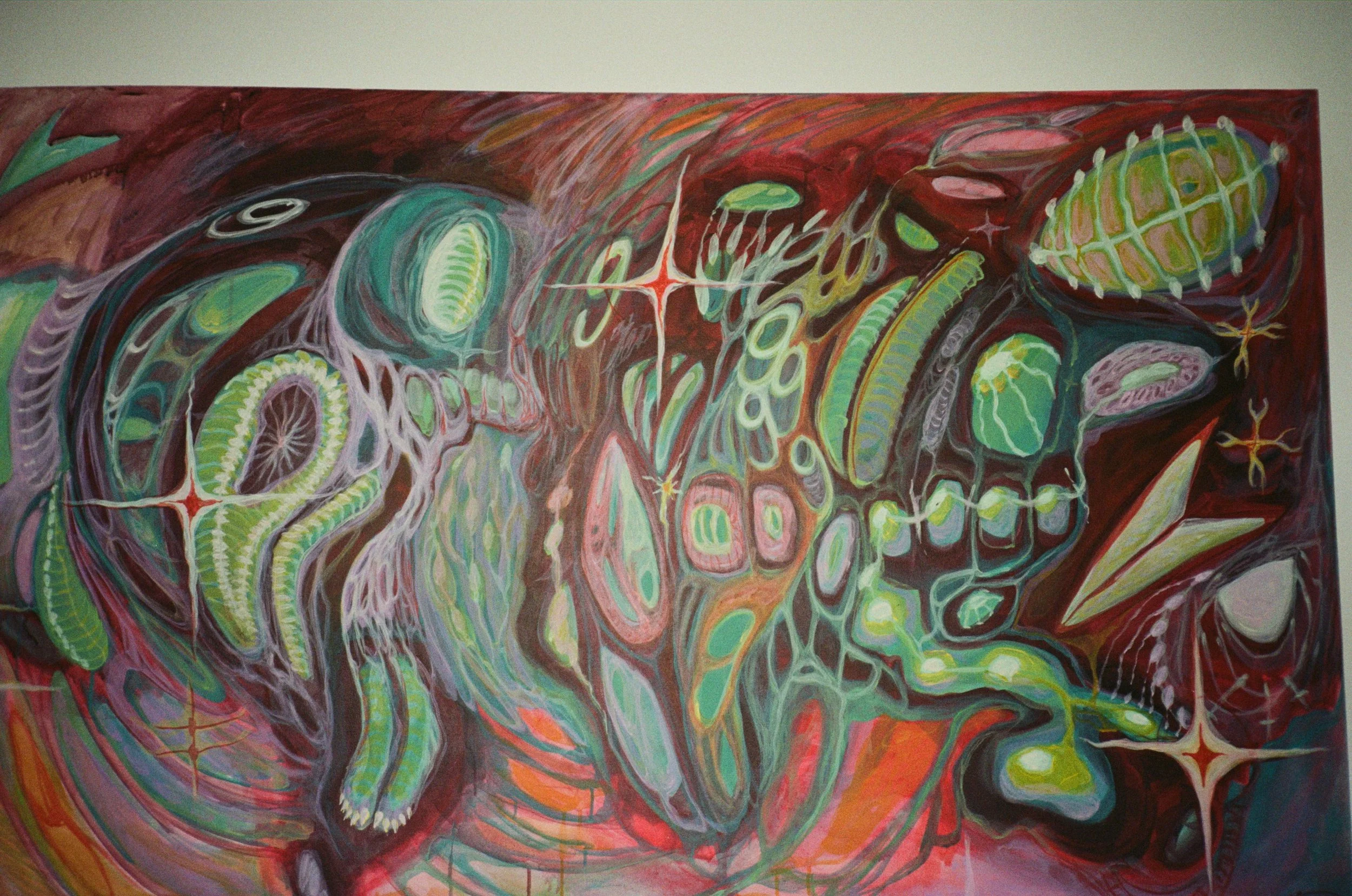 WhatsApp Image 2026-02-19 at 16.11.35 (1).jpeg