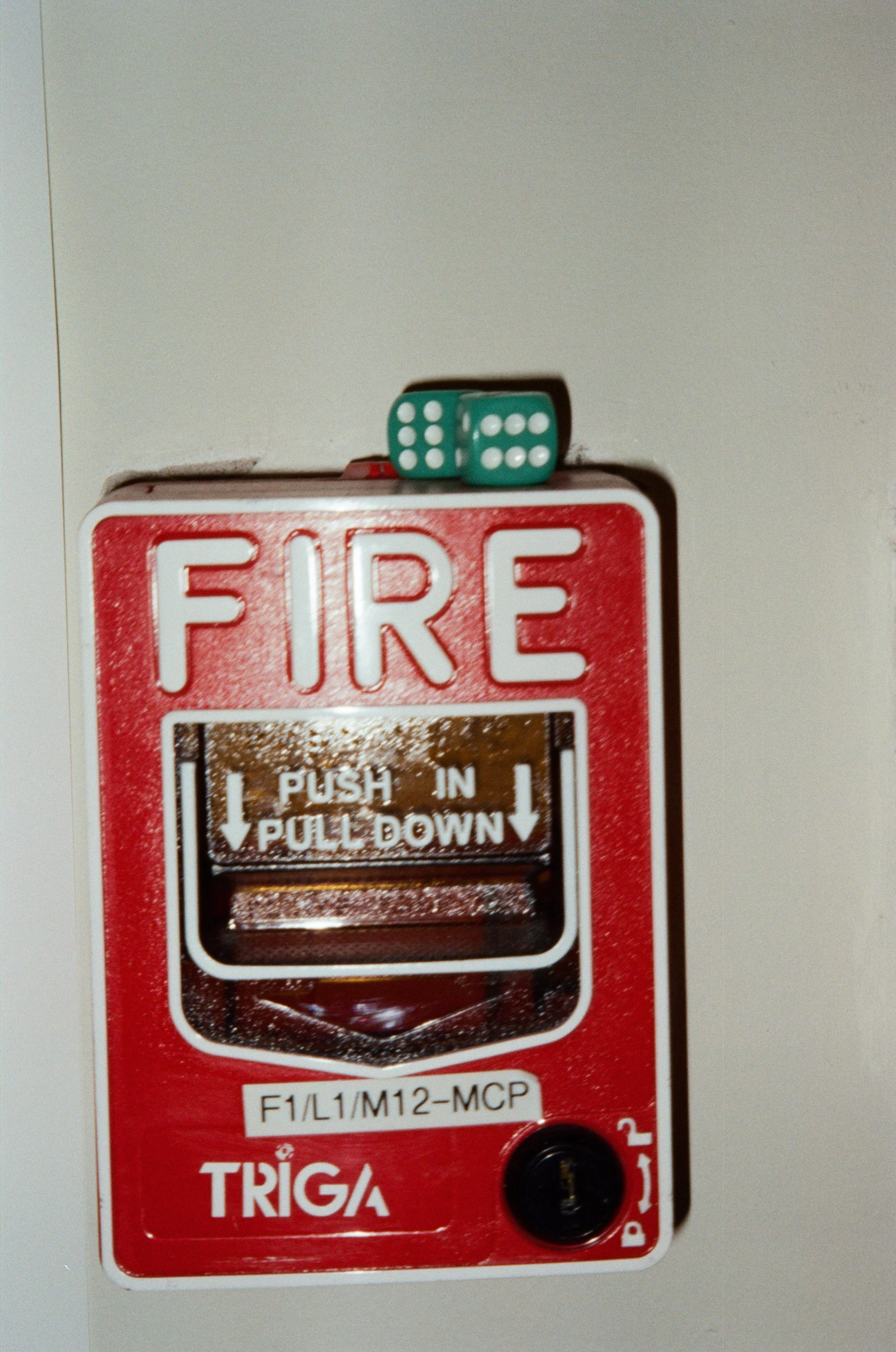 WhatsApp Image 2026-02-19 at 16.11.31 (4).jpeg