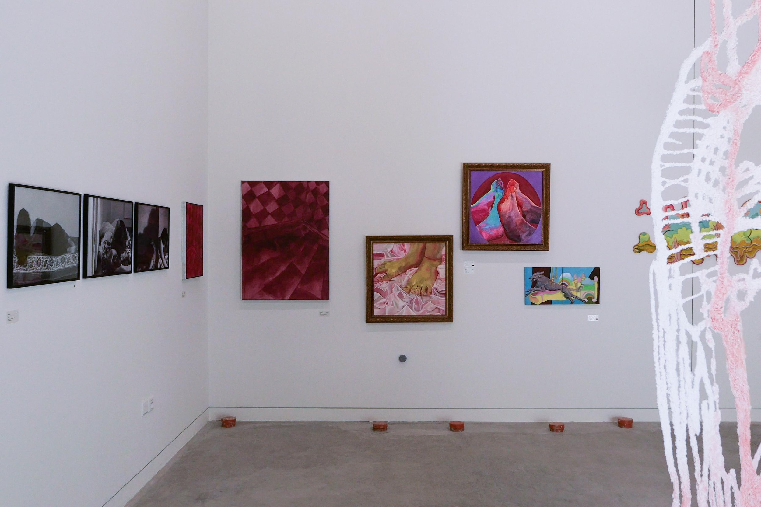 WhatsApp Image 2026-01-27 at 12.21.46.jpeg