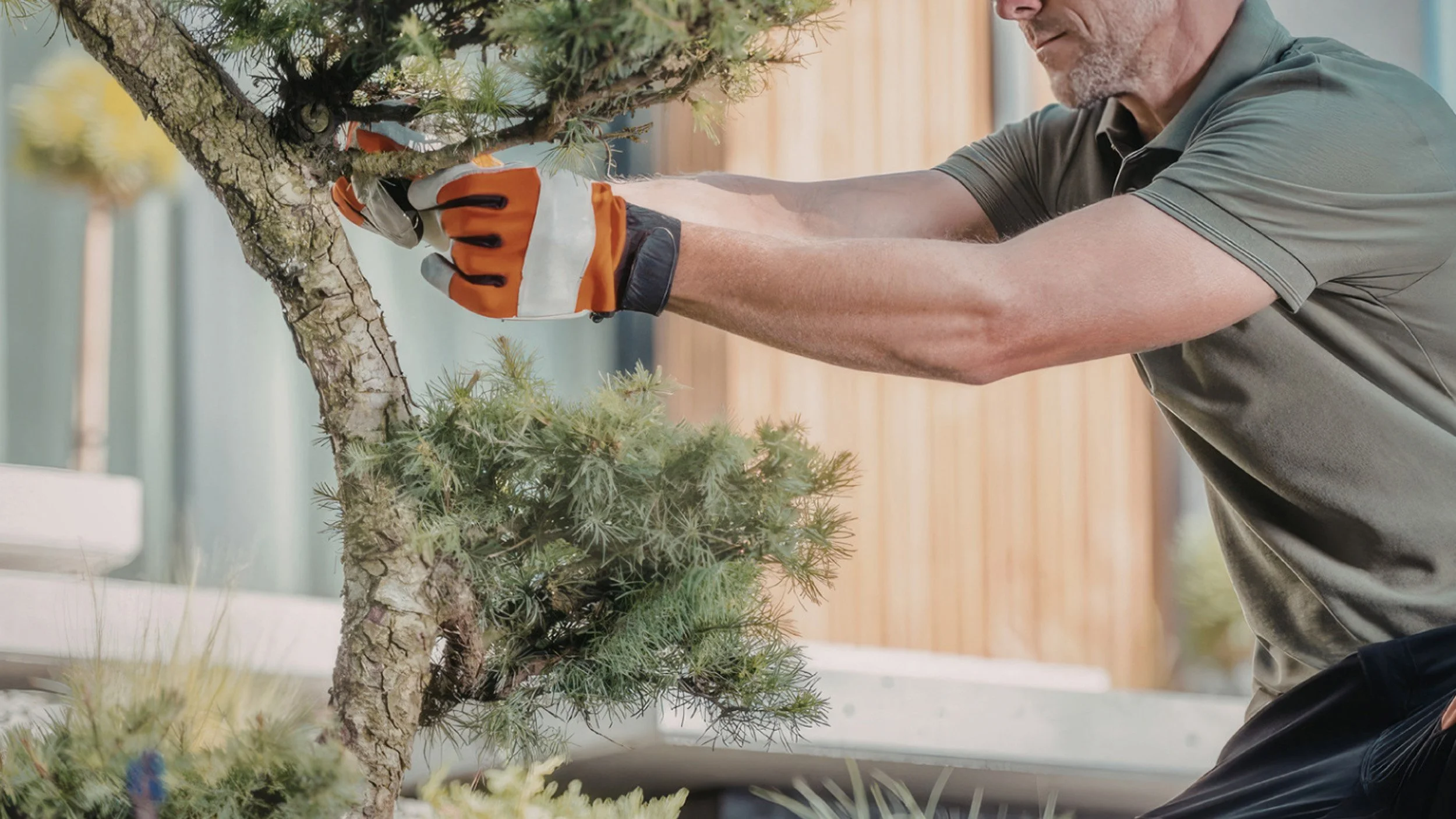 Springing Forward: Why the Right Roots Lead to the Best Results