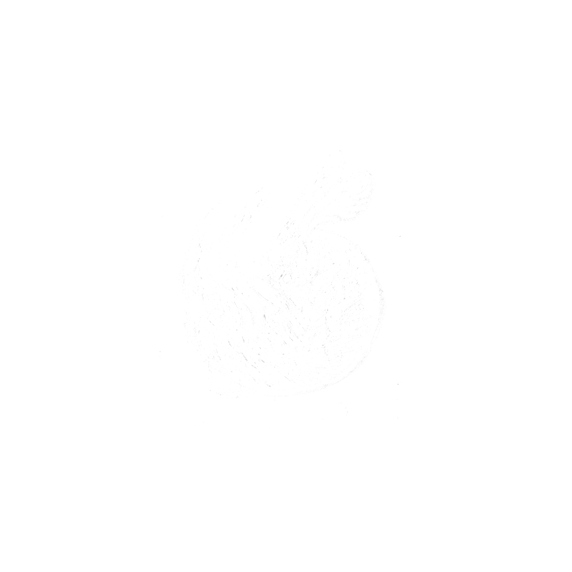The Groggy Rabbit